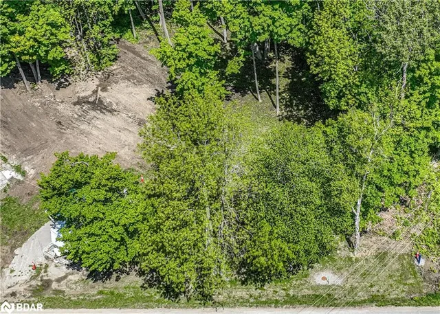 1366 Wilson Point Rd, Orillia 3