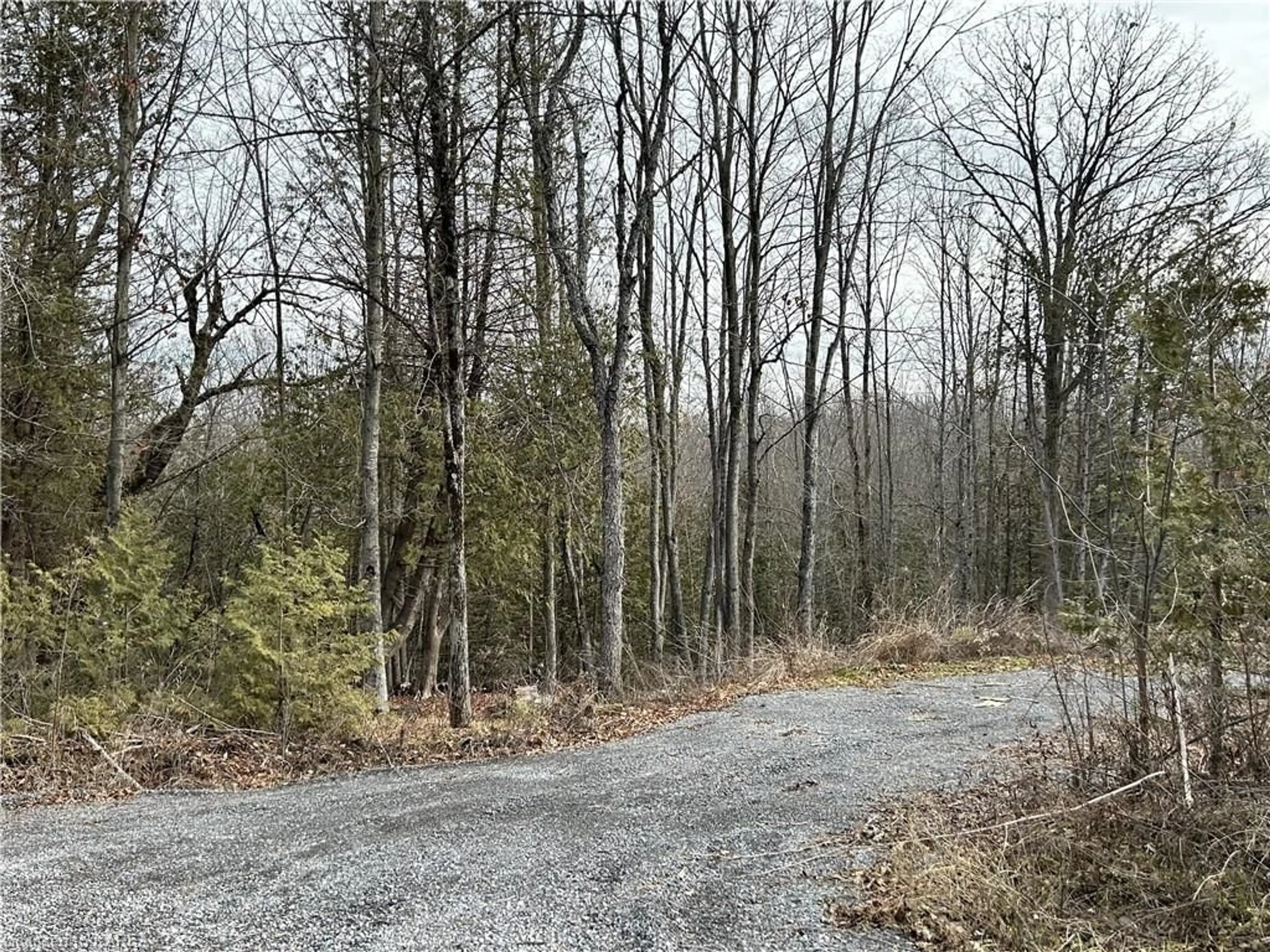 Shed for 269 9th Concession Rd, Camden East Ontario K0K 1Z0