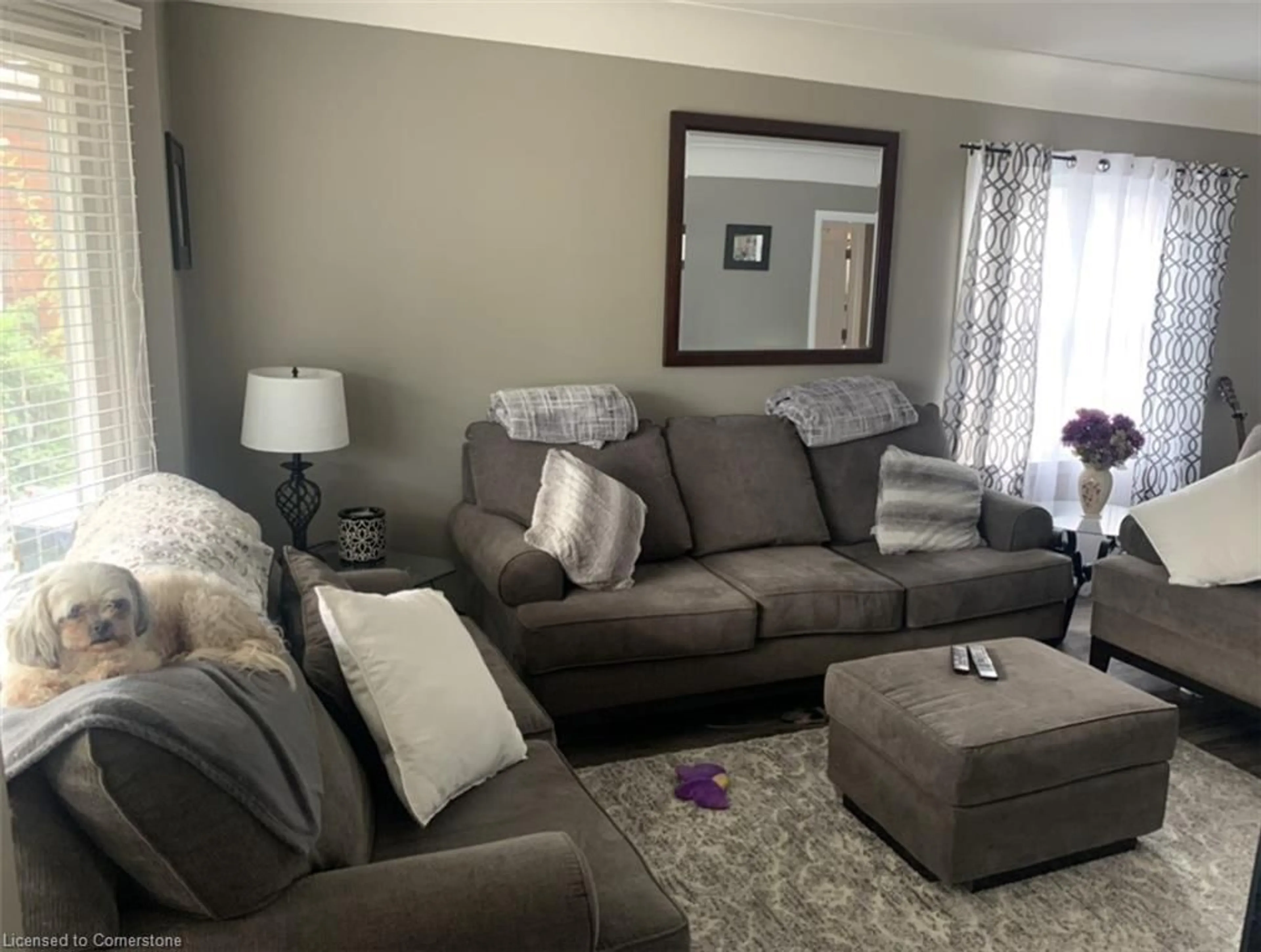 Living room, carpet floors for 65 Tuxedo Ave, Hamilton Ontario L8H 4P6