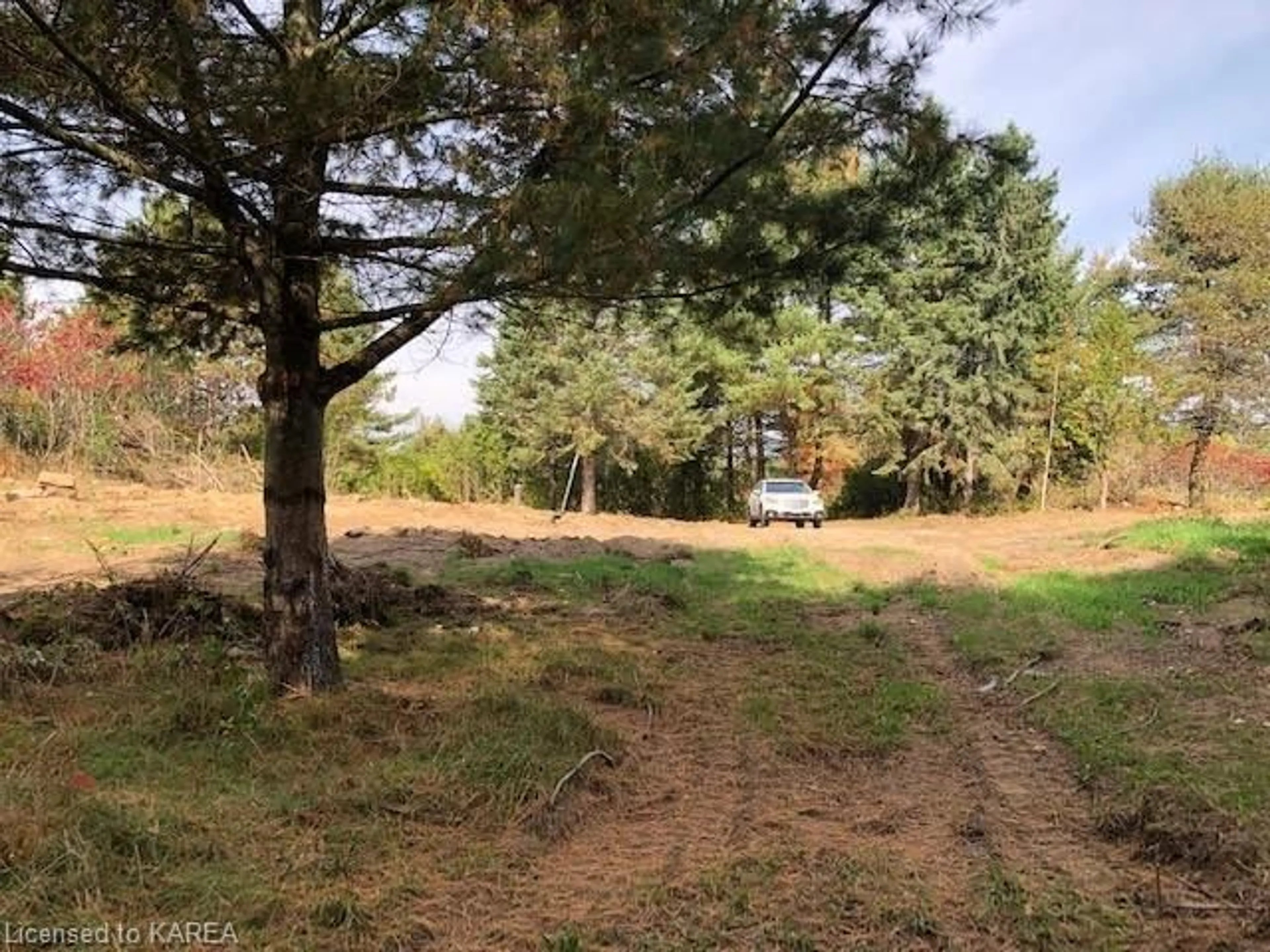 Shed for 1380 Westport Rd, Godfrey Ontario K0H 1T0