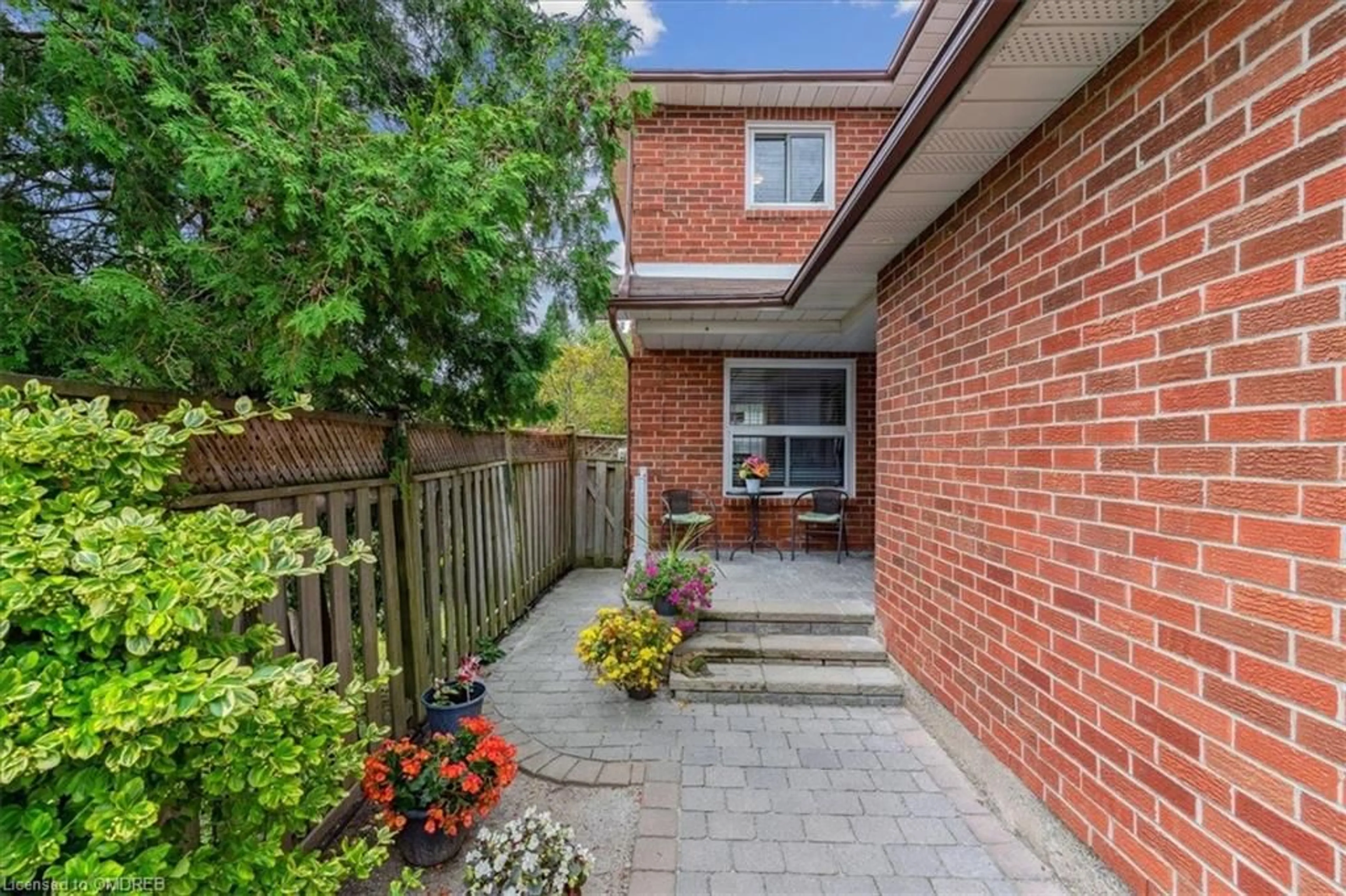 Patio, the fenced backyard for 211 Murray St, Brampton Ontario L6X 3L8