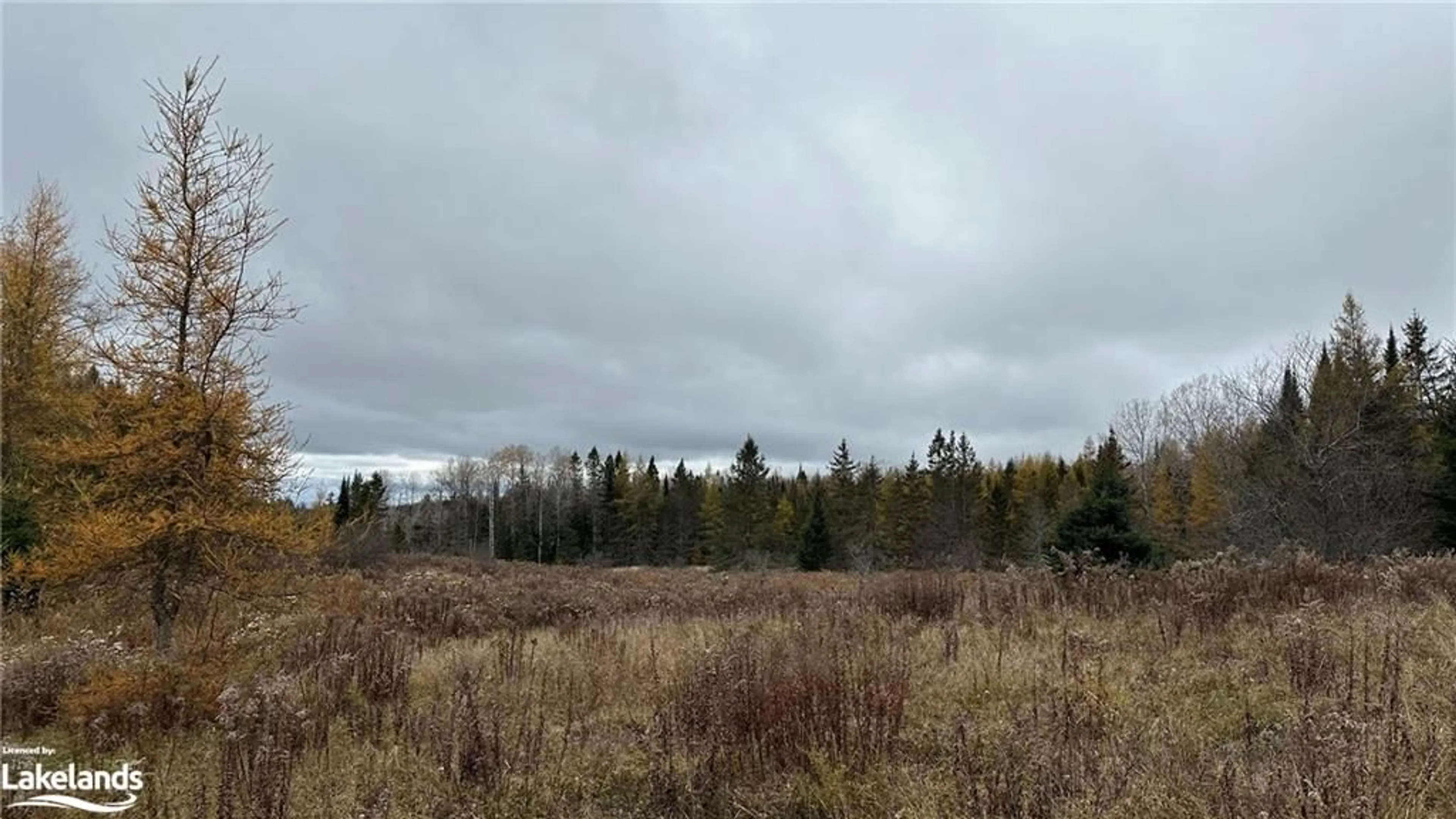 A pic of a room, unknown floor for LOT 1 Hill And Gully Rd, Burk's Falls Ontario P0A 1C0