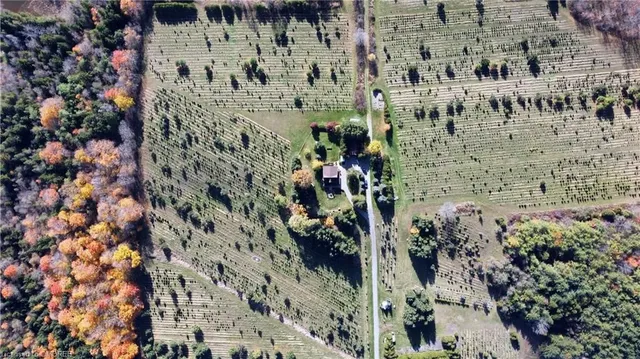 Additional image 26 of 1650 6th Con Rd W Rd