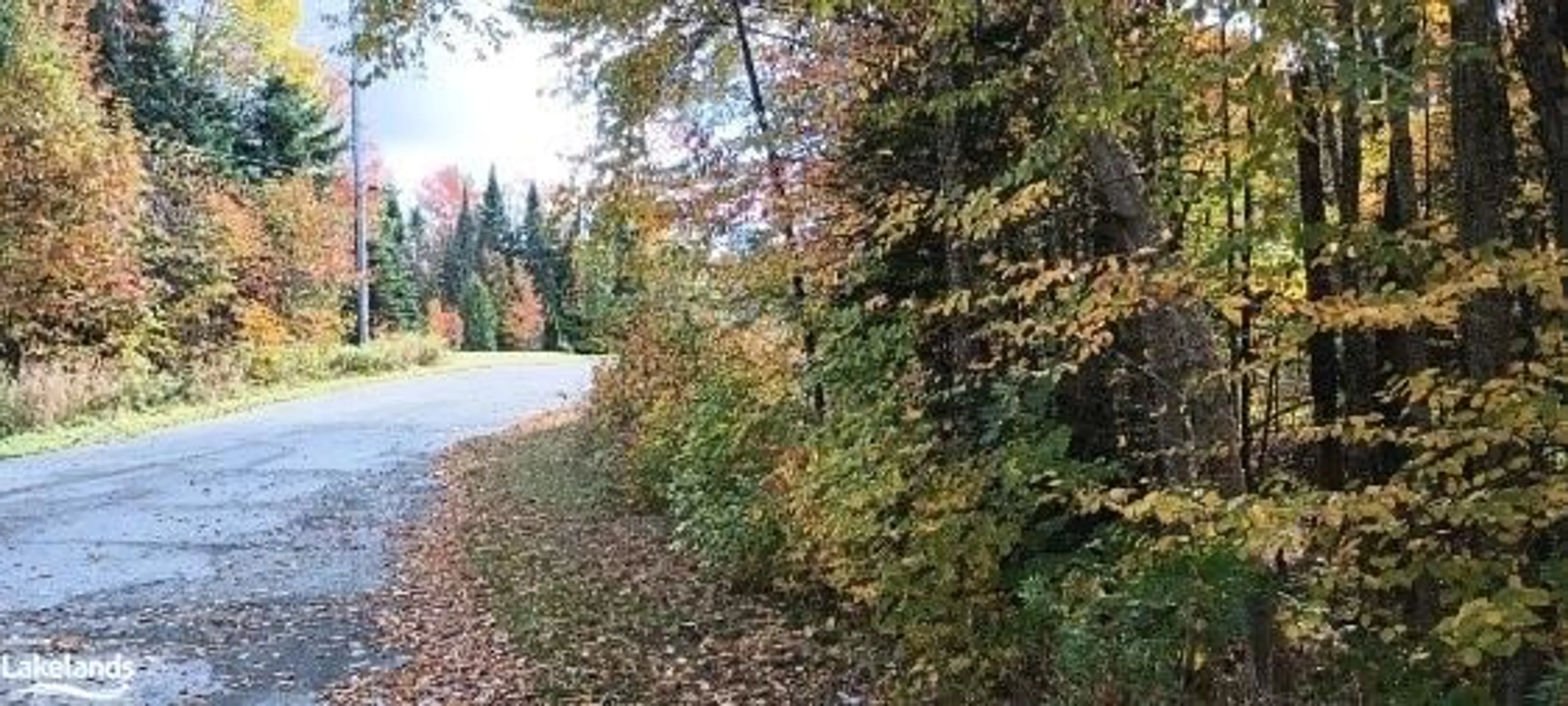 A pic from exterior of the house or condo, the street view for 181 Clarkes Lane, Utterson Ontario P0B 1M0