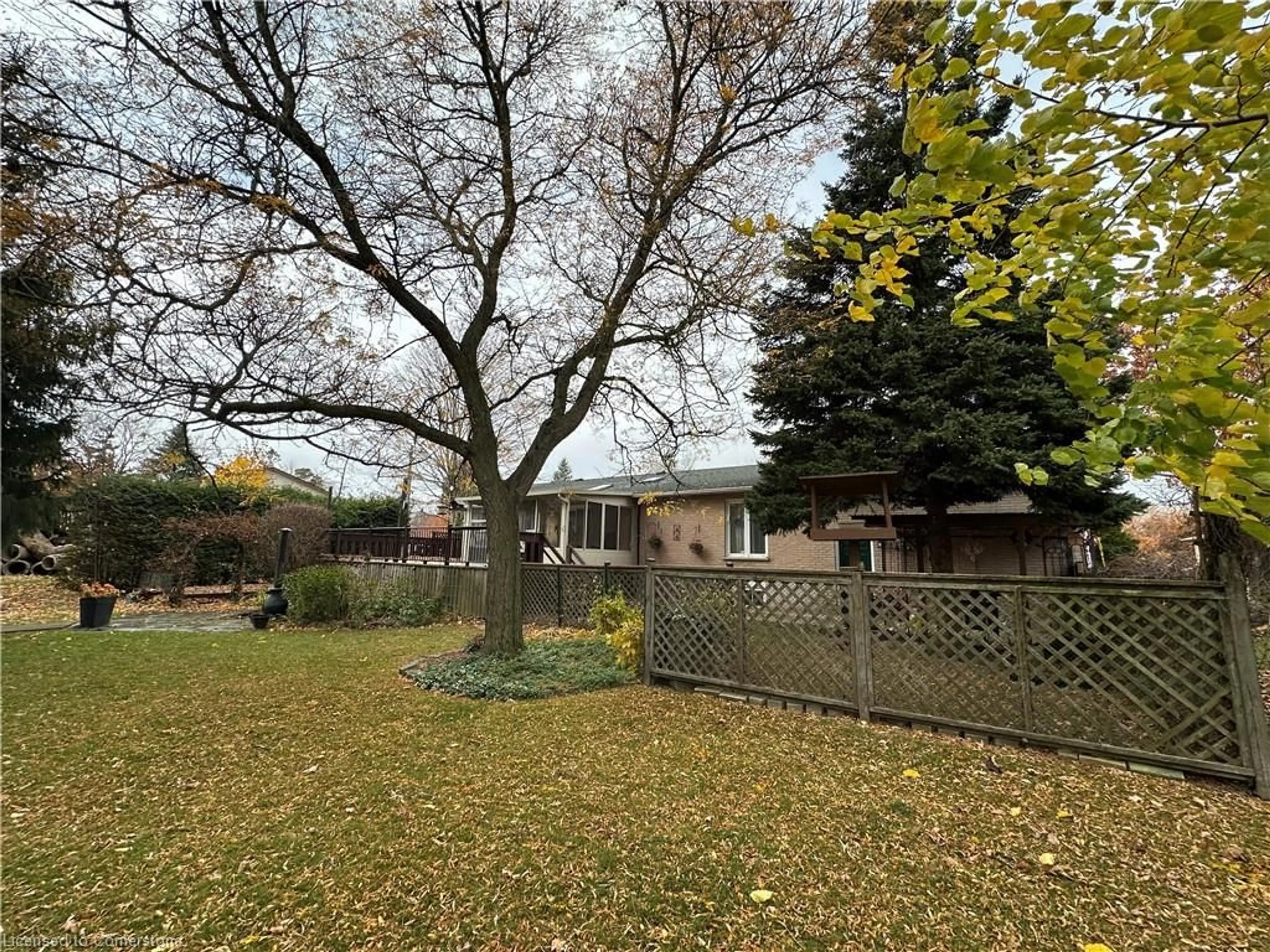 Frontside or backside of a home, the fenced backyard for 486 Toronto St St, Palmerston Ontario N0G 2P0