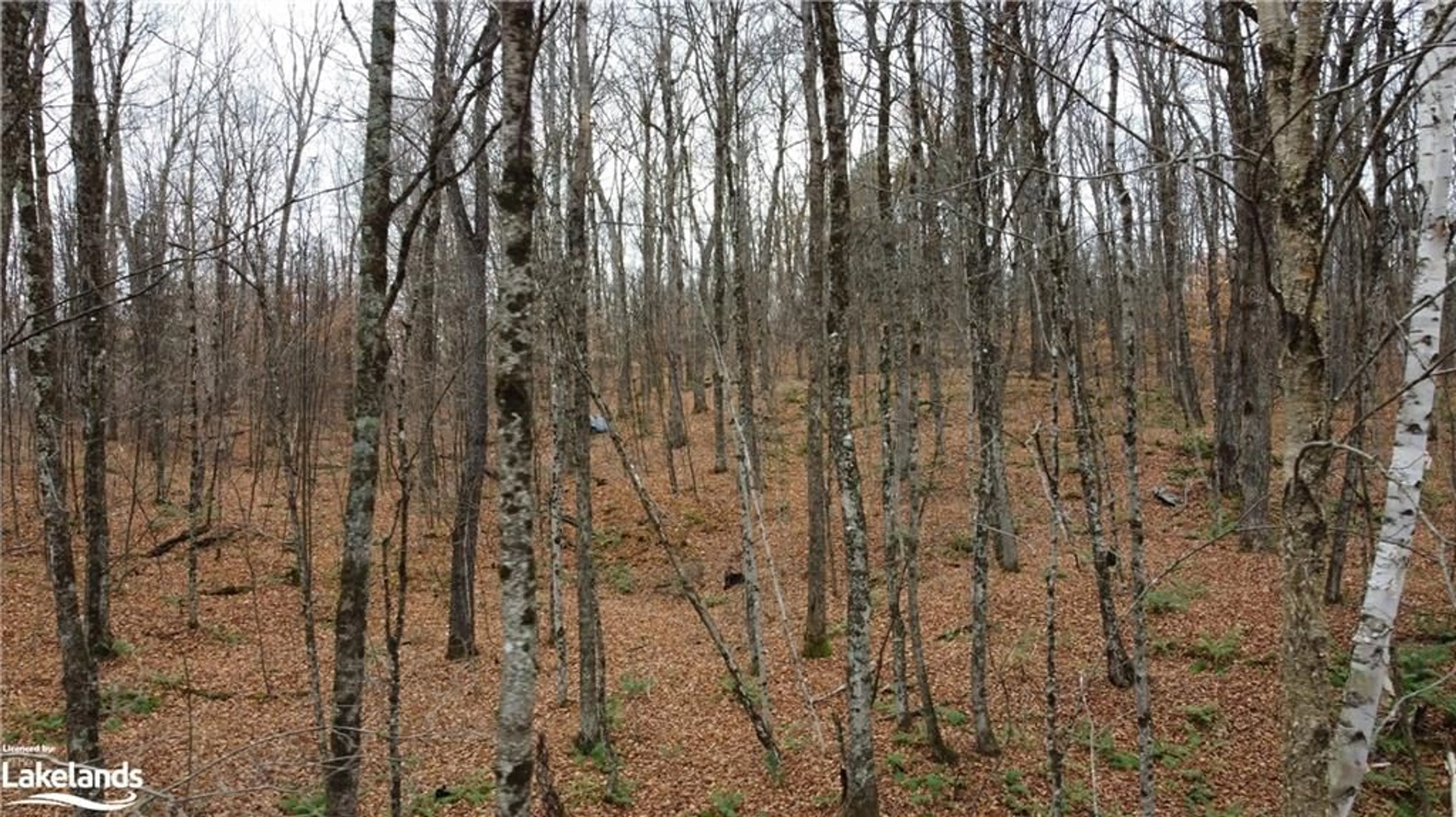 Other indoor space, unknown floor for 0 Basshaunt Lake Rd, Haliburton Ontario K0M 1S0