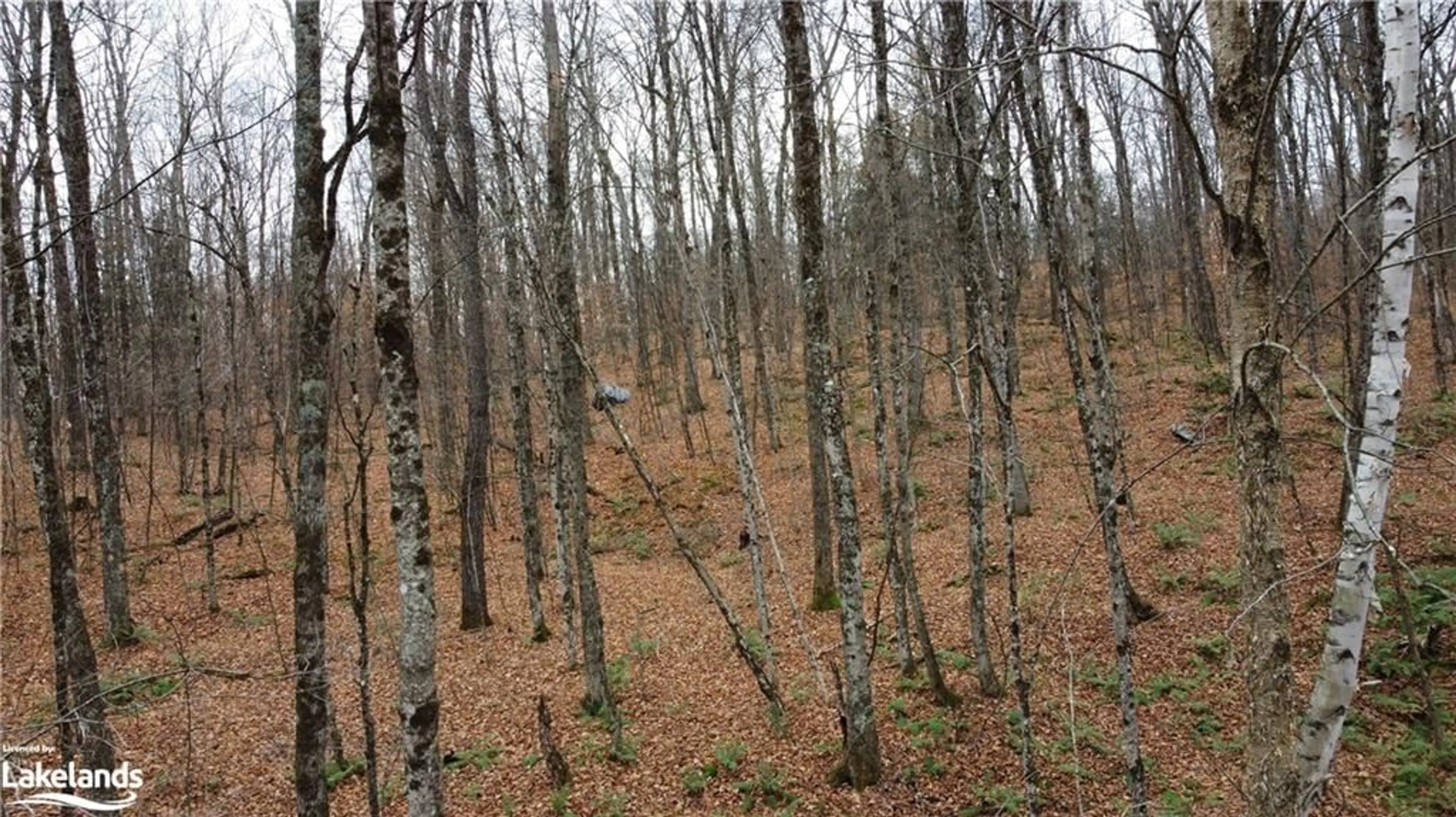 Other indoor space, unknown floor for 0 Basshaunt Lake Rd, Haliburton Ontario K0M 1S0