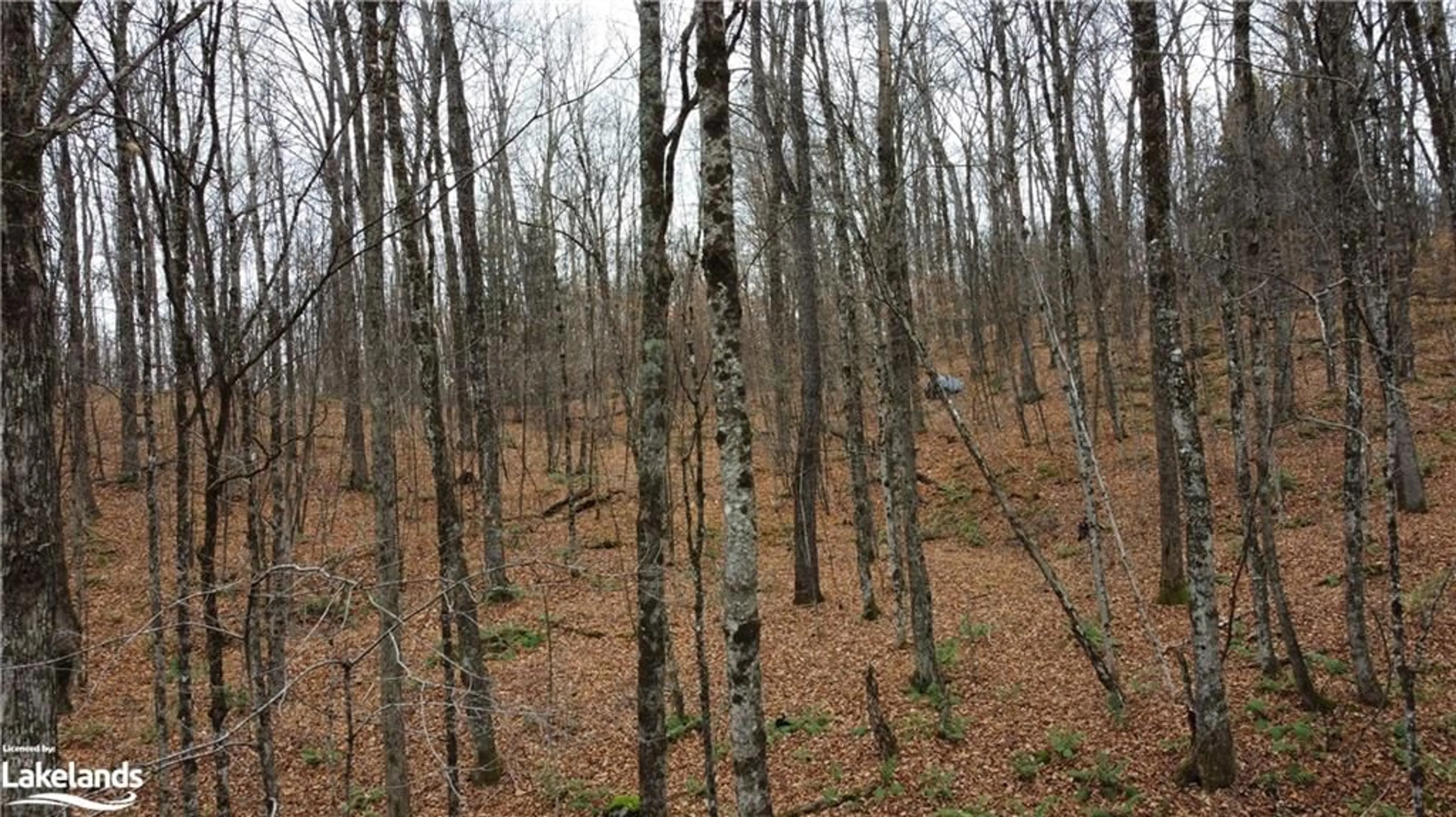 Other indoor space, unknown floor for 0 Basshaunt Lake Rd, Haliburton Ontario K0M 1S0