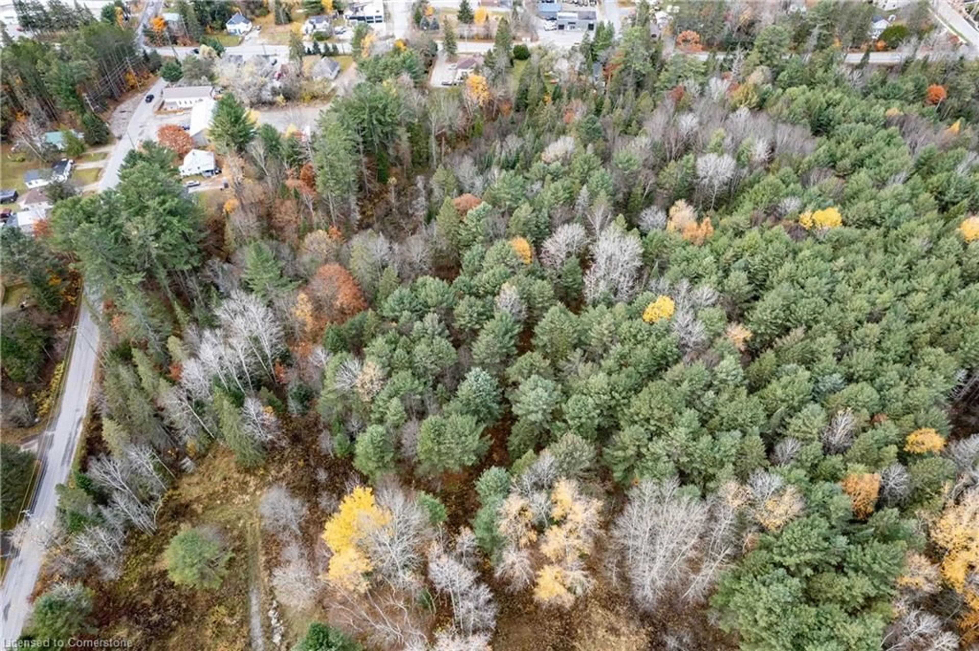 A pic from exterior of the house or condo, forest for 100 Chaffey Township Rd, Huntsville Ontario P1H 1C8