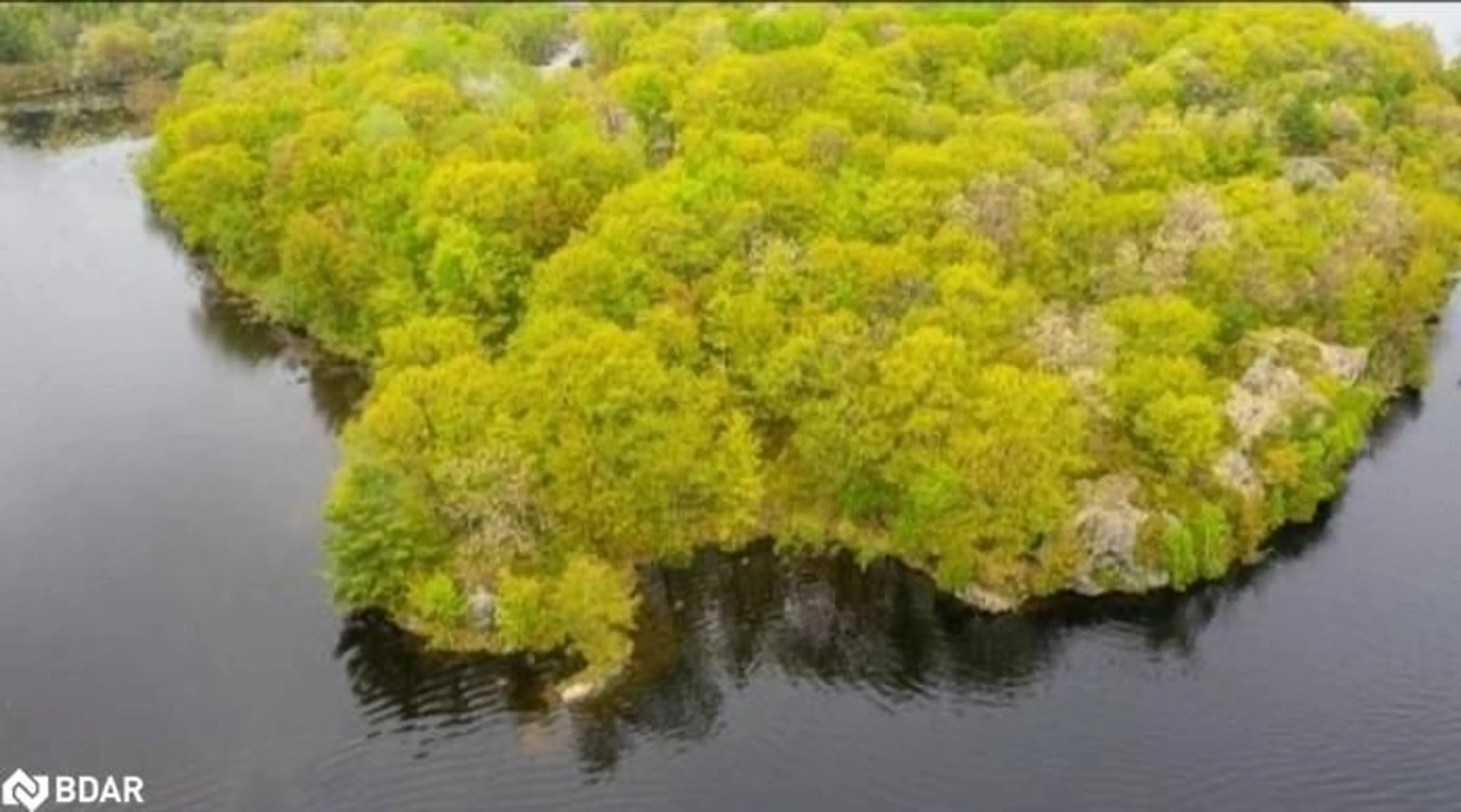 A pic from exterior of the house or condo, lake for 3600 Narrows Rd #Lot 12, Port Severn Ontario L0K 1E0