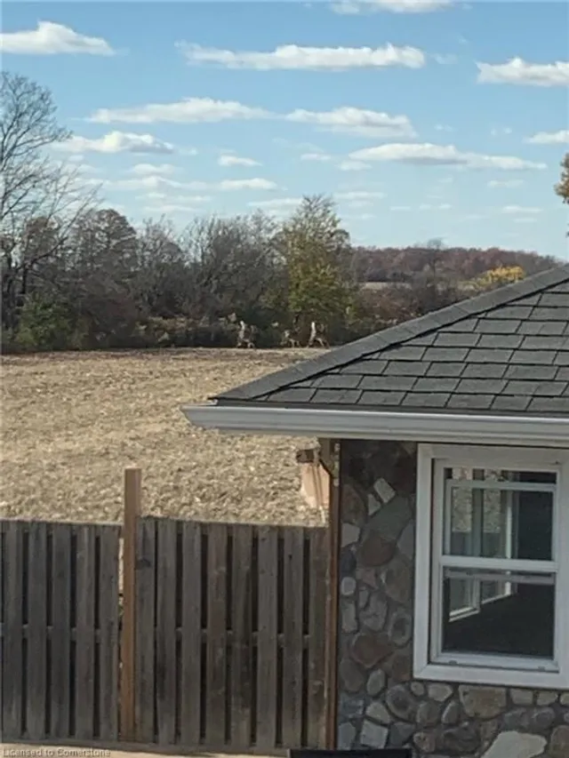 Additional property image - 2320 Hendershot Rd