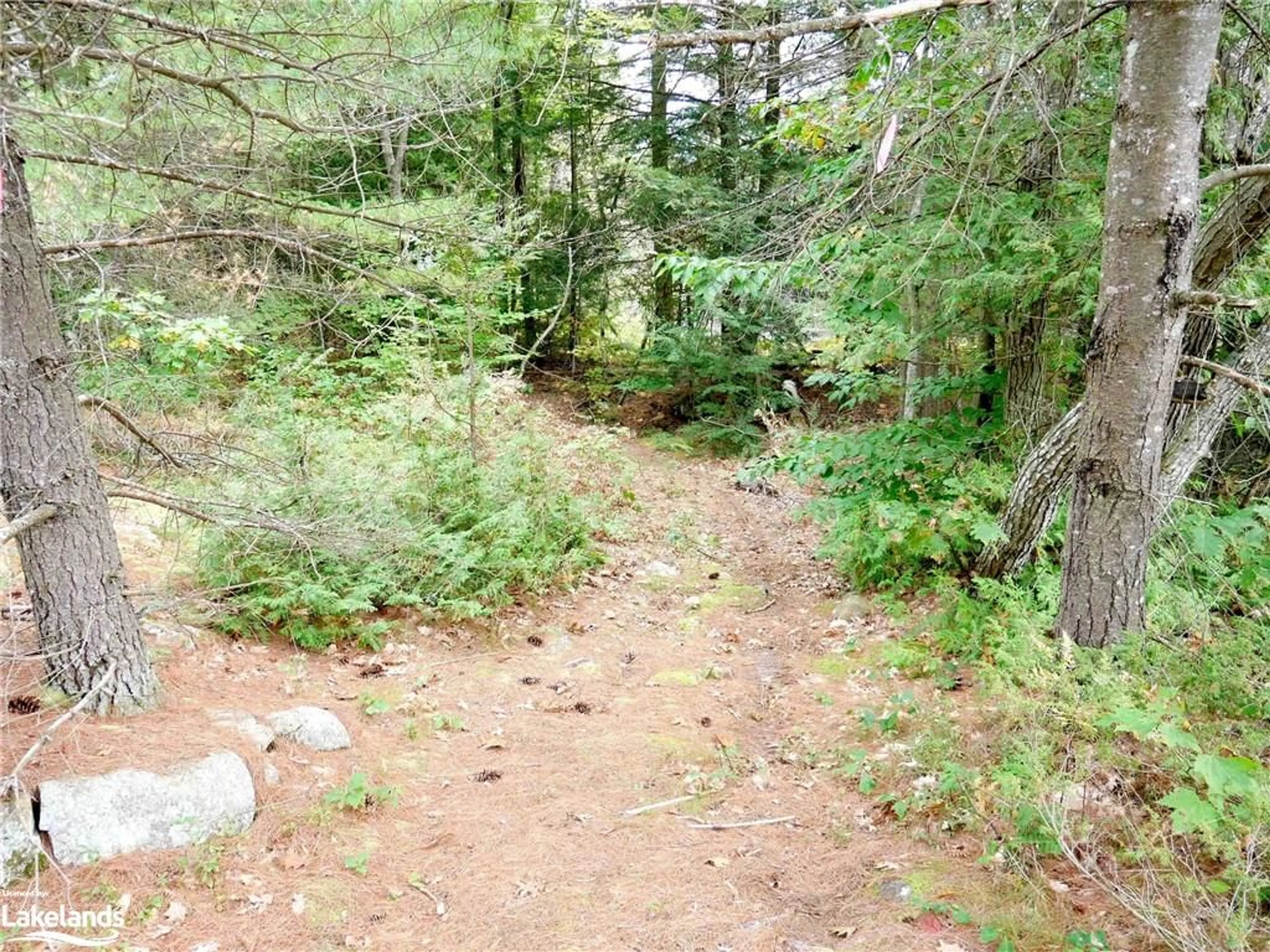 A pic of a room, not visible floor for 773 Mccoy Lake, Seguin Ontario P2A 0B2