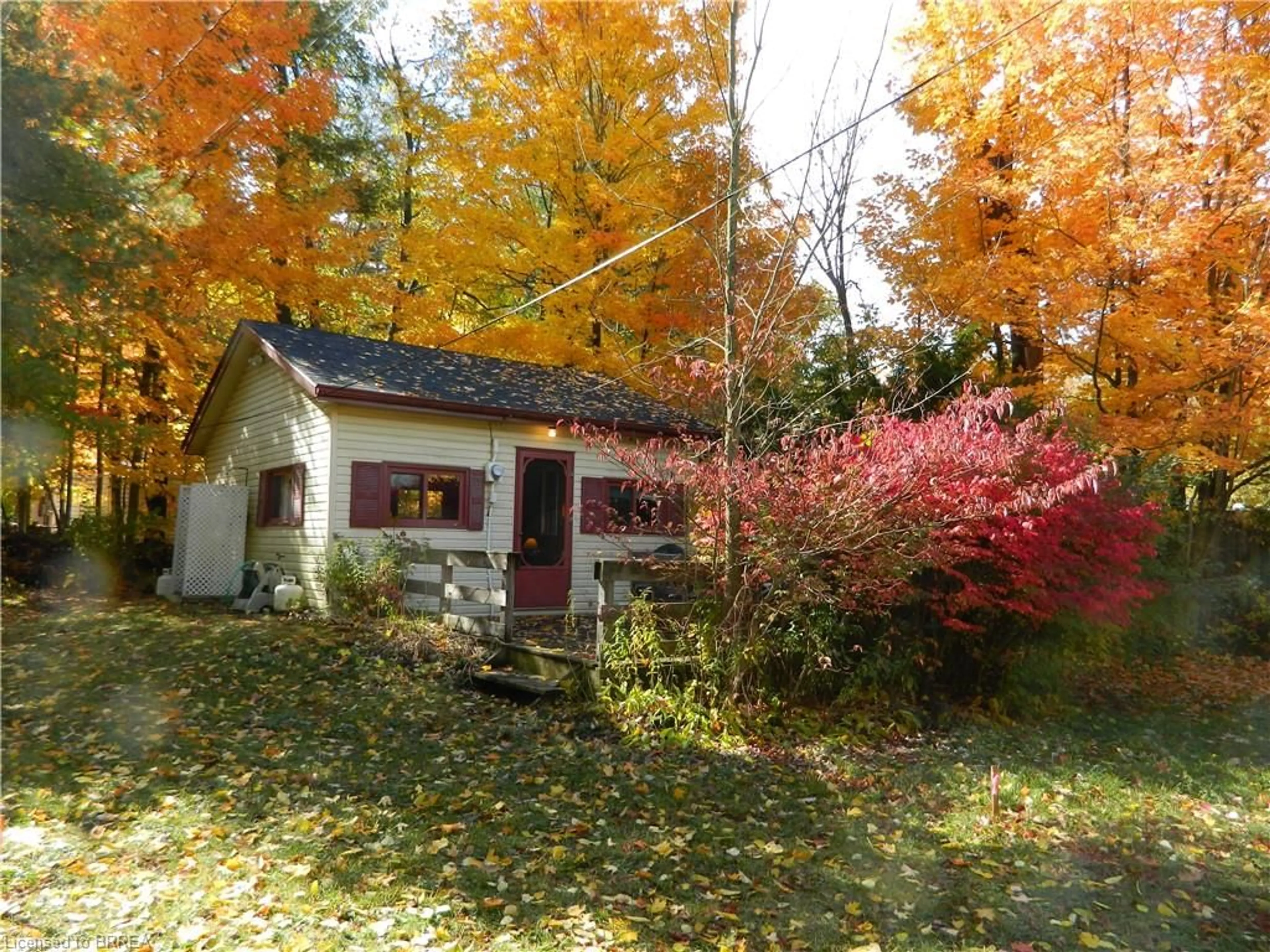 Shed for 89 Grand Bend Rd, Freelton Ontario L0K 1R0