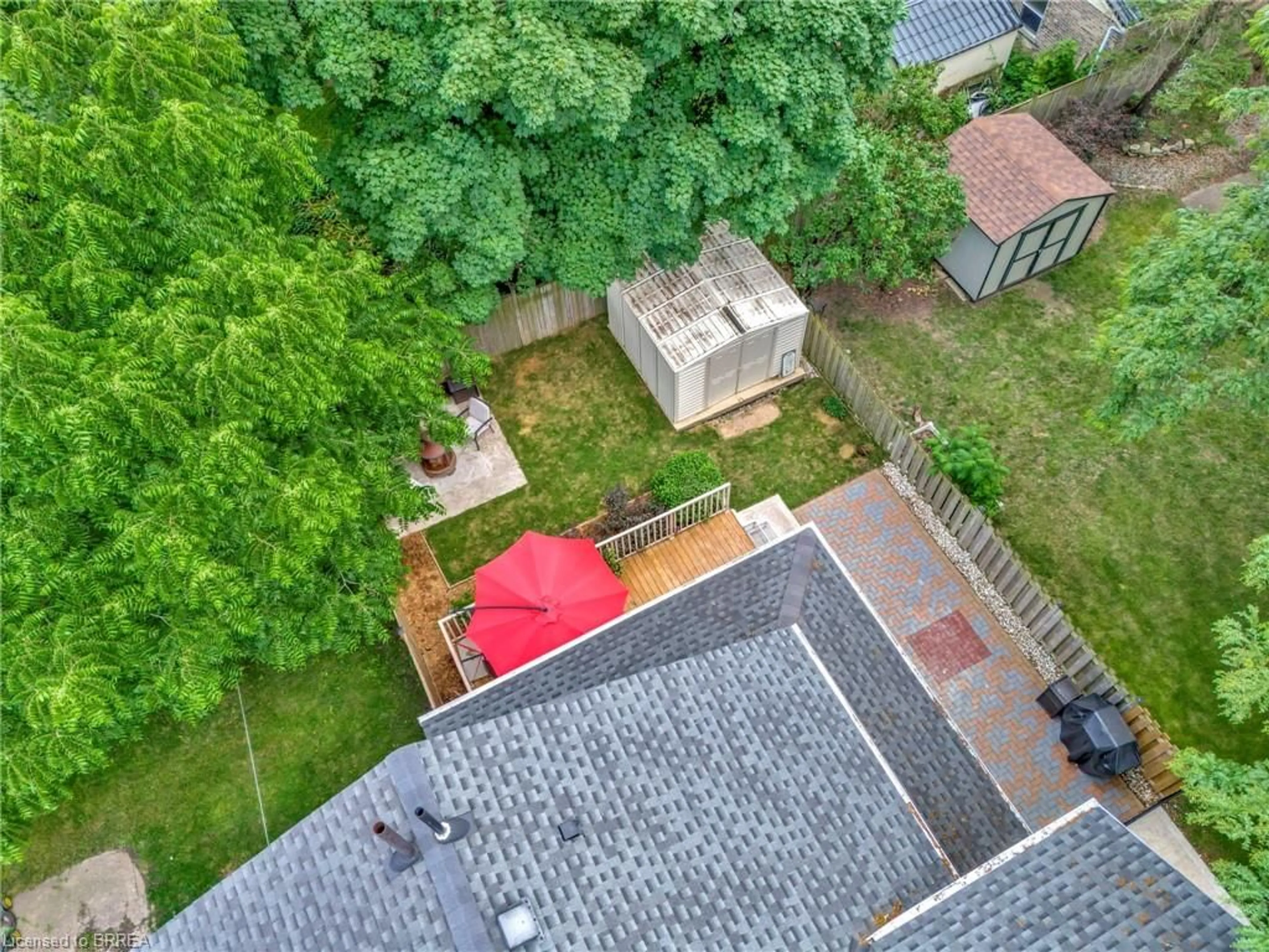 Frontside or backside of a home, the fenced backyard for 109 St Paul Ave, Brantford Ontario N3T 4G1