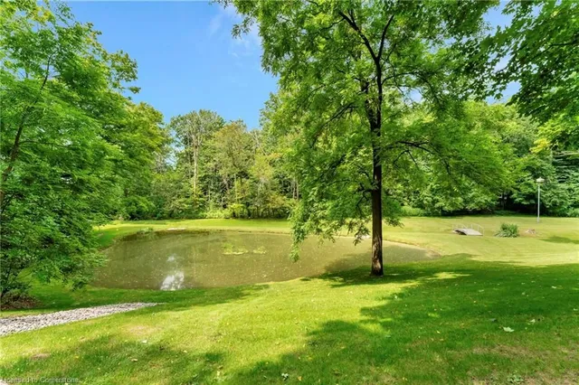 Additional property image - 362 Lynden Rd