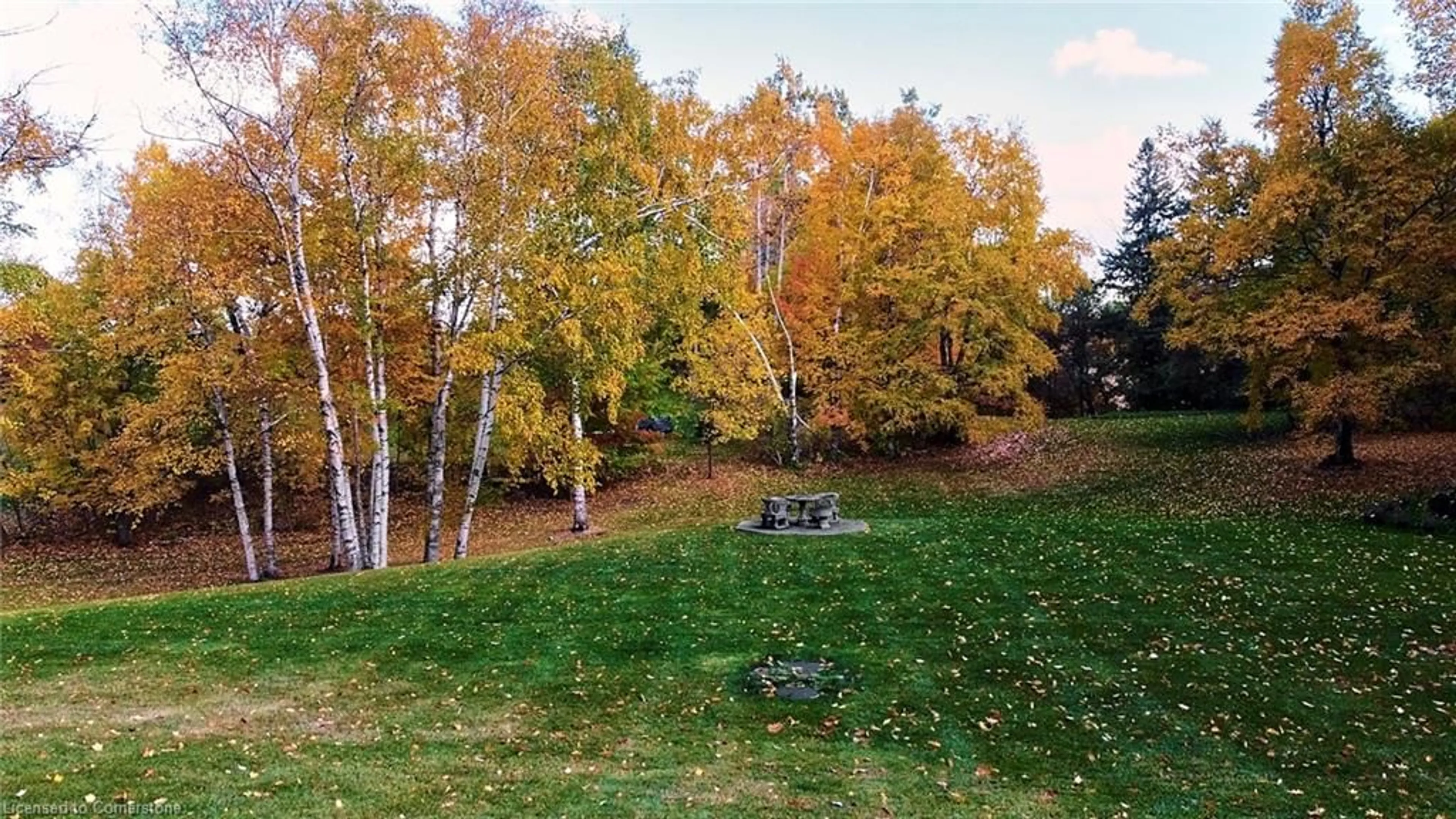 A pic from exterior of the house or condo, the fenced backyard for 1251 Britannia Rd, Burlington Ontario L7P 0E7