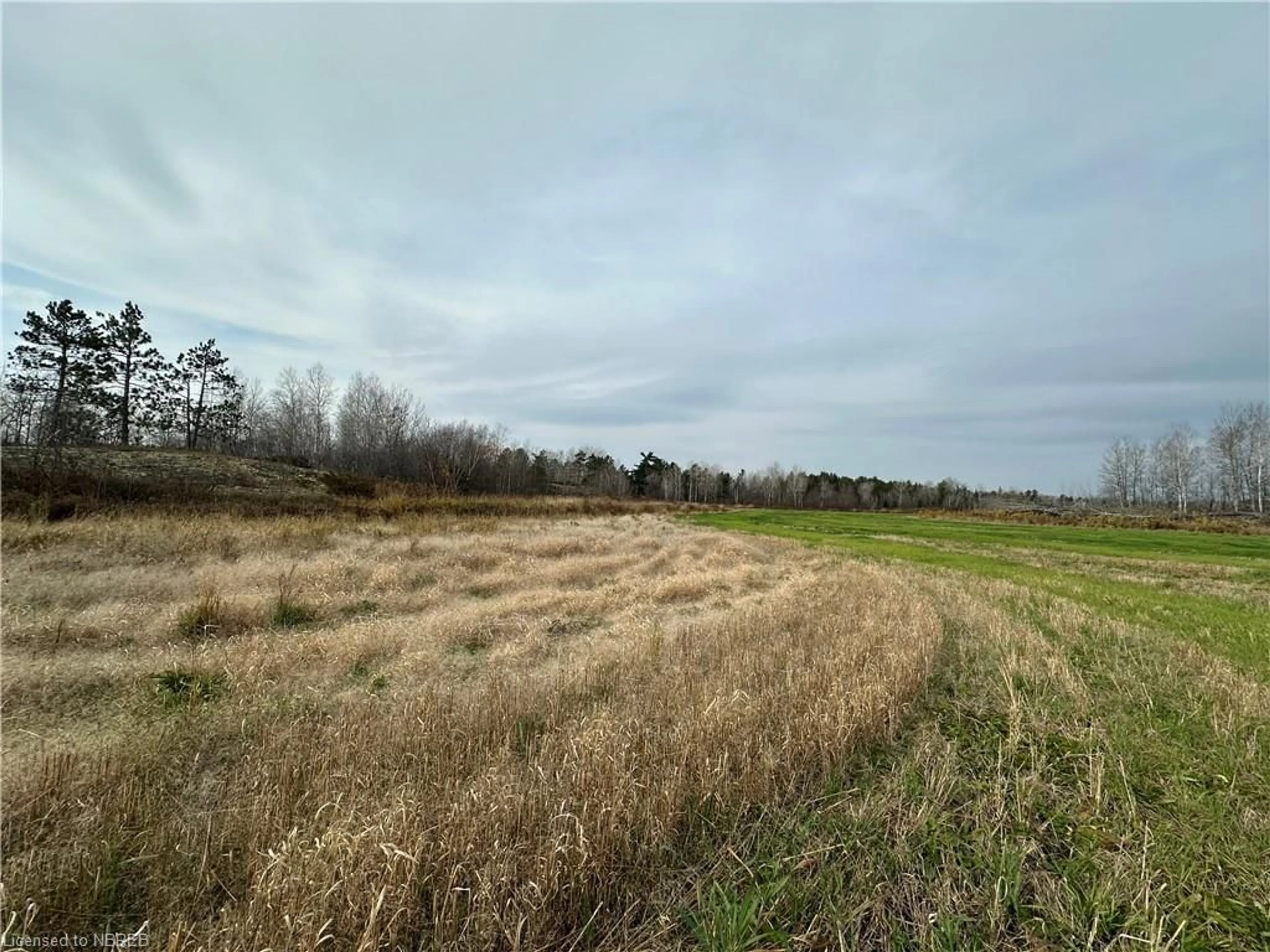 A pic of a room, unknown floor for LOT 5 Lafreniere Rd, Lavigne Ontario P0H 1R0