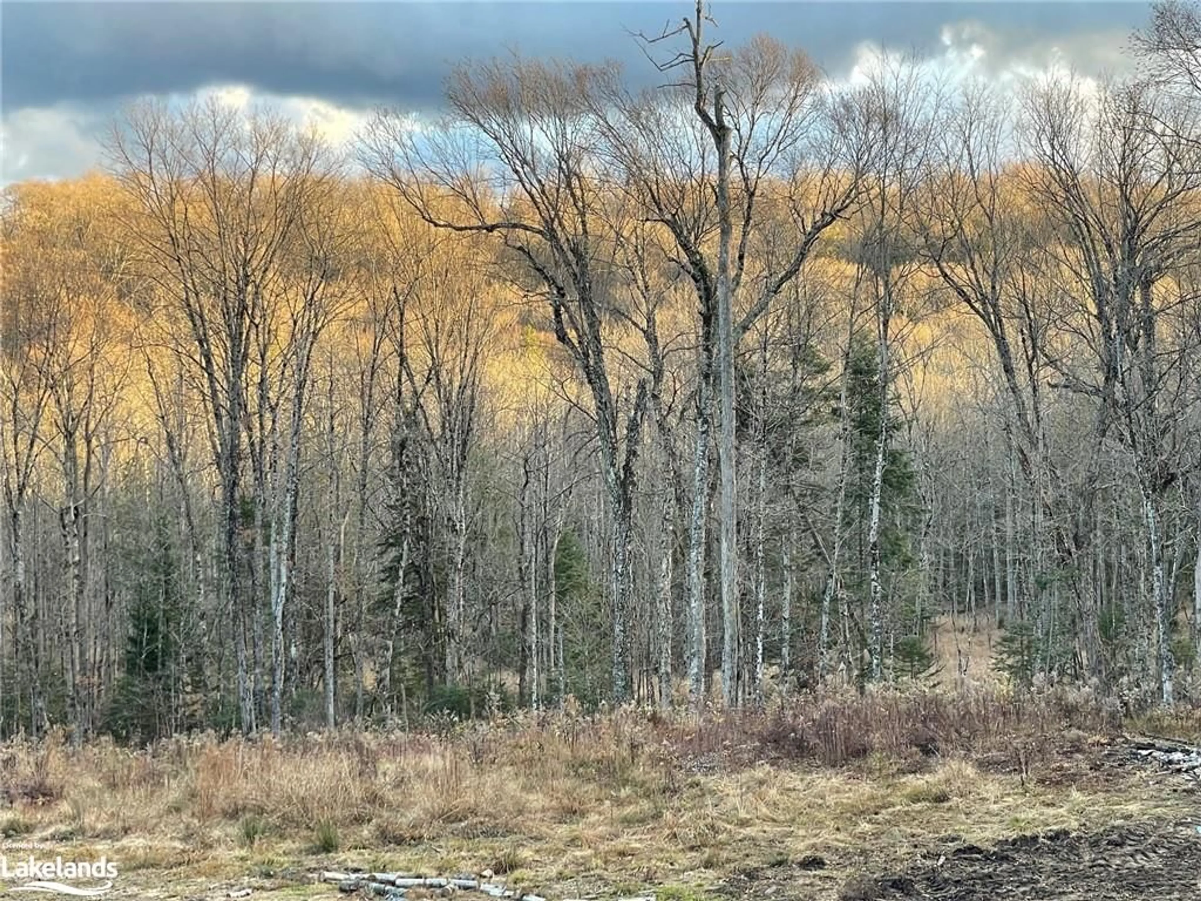 A pic from exterior of the house or condo, forest for 2675 Midlothian Road, Burk's Falls Ontario P0A 1C0