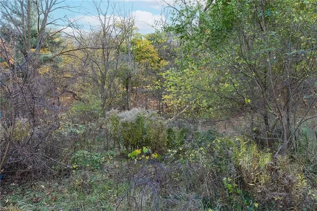 Additional property image - 1110 Wilson St