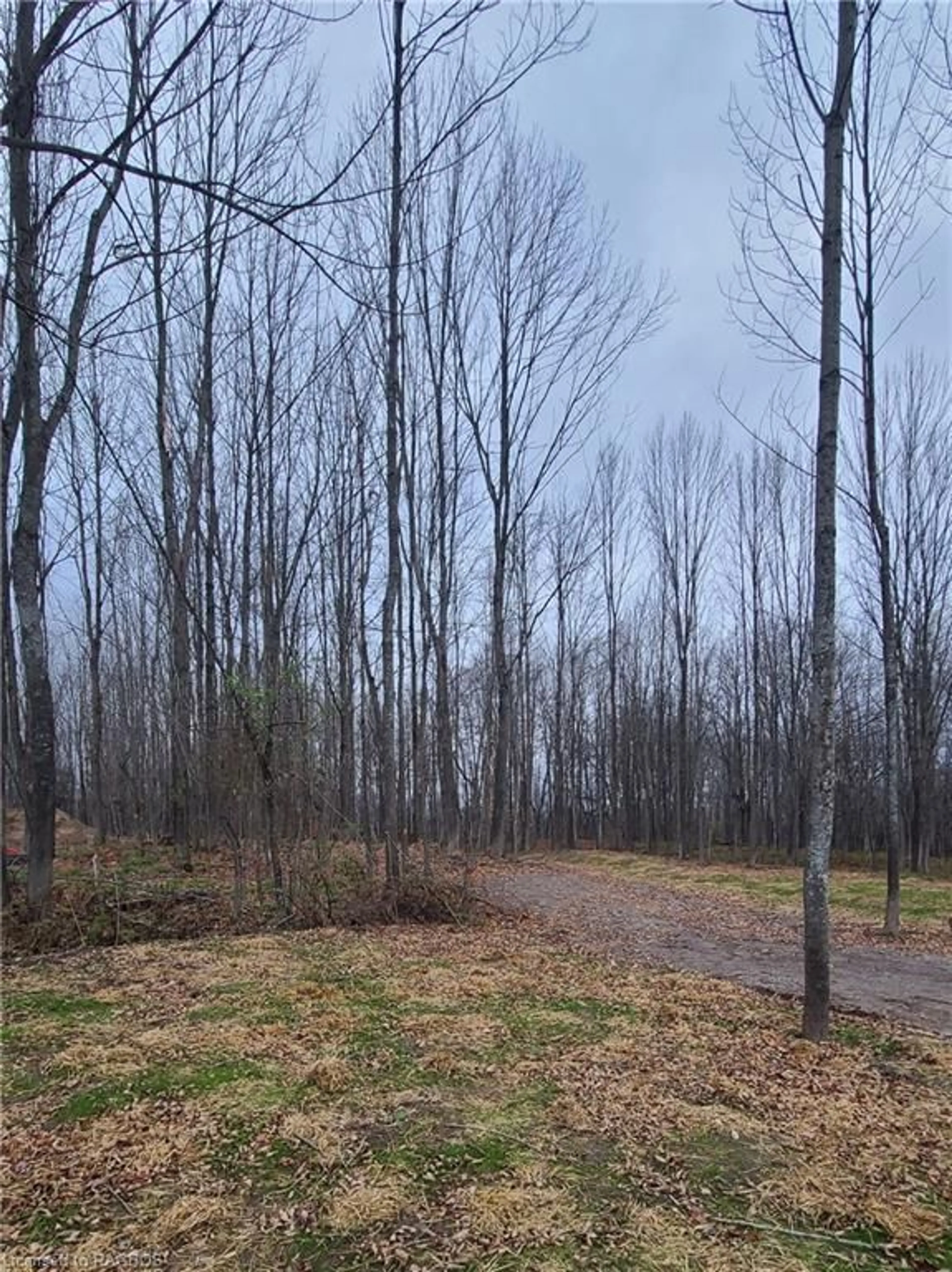 A pic of a room, unknown floor for 130 Maple Ridge Rd, Georgian Bluffs Ontario N4K 5N4