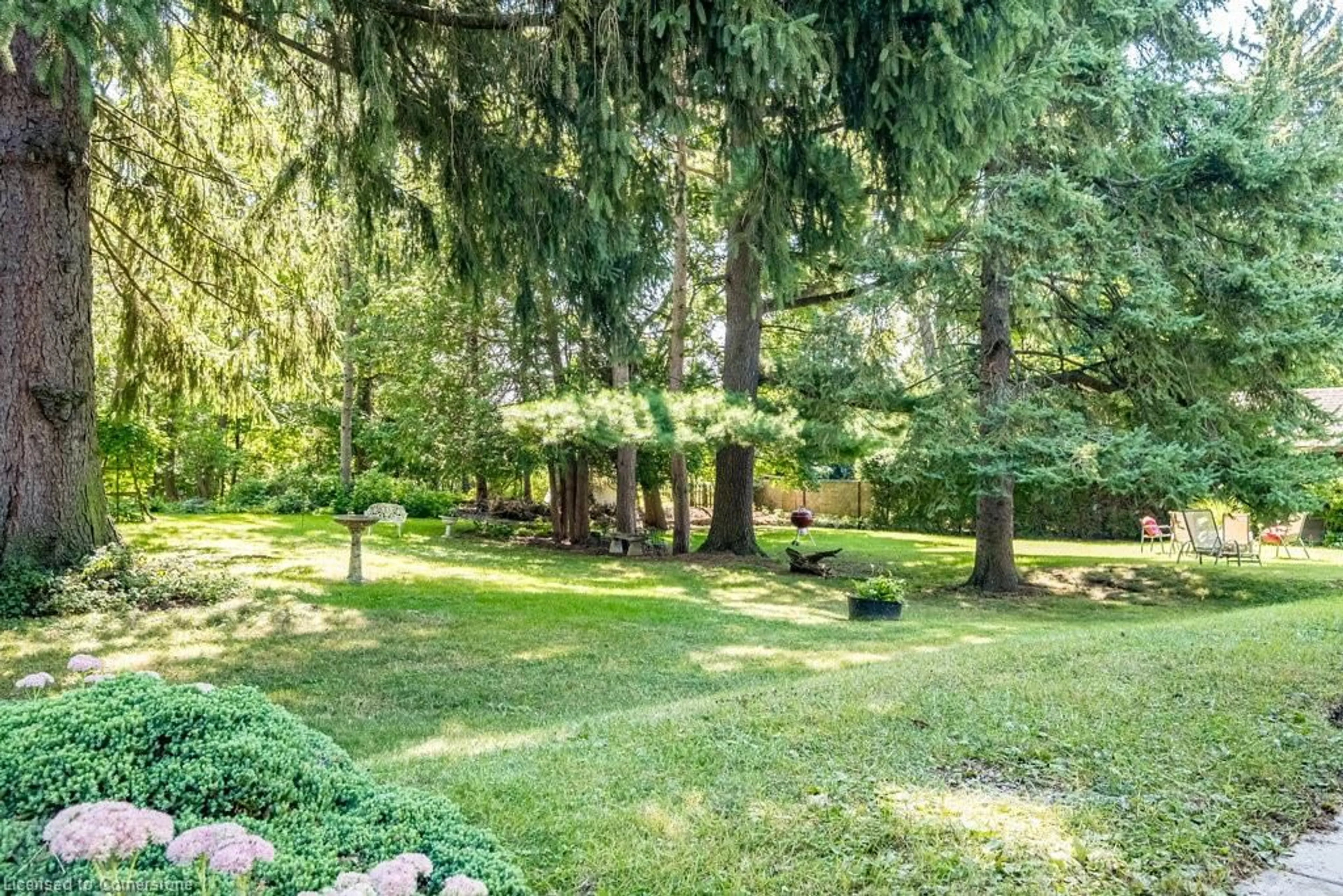 Patio, forest/trees view for 5 Rowanwood Ave, Dundas Ontario L9H 4C9