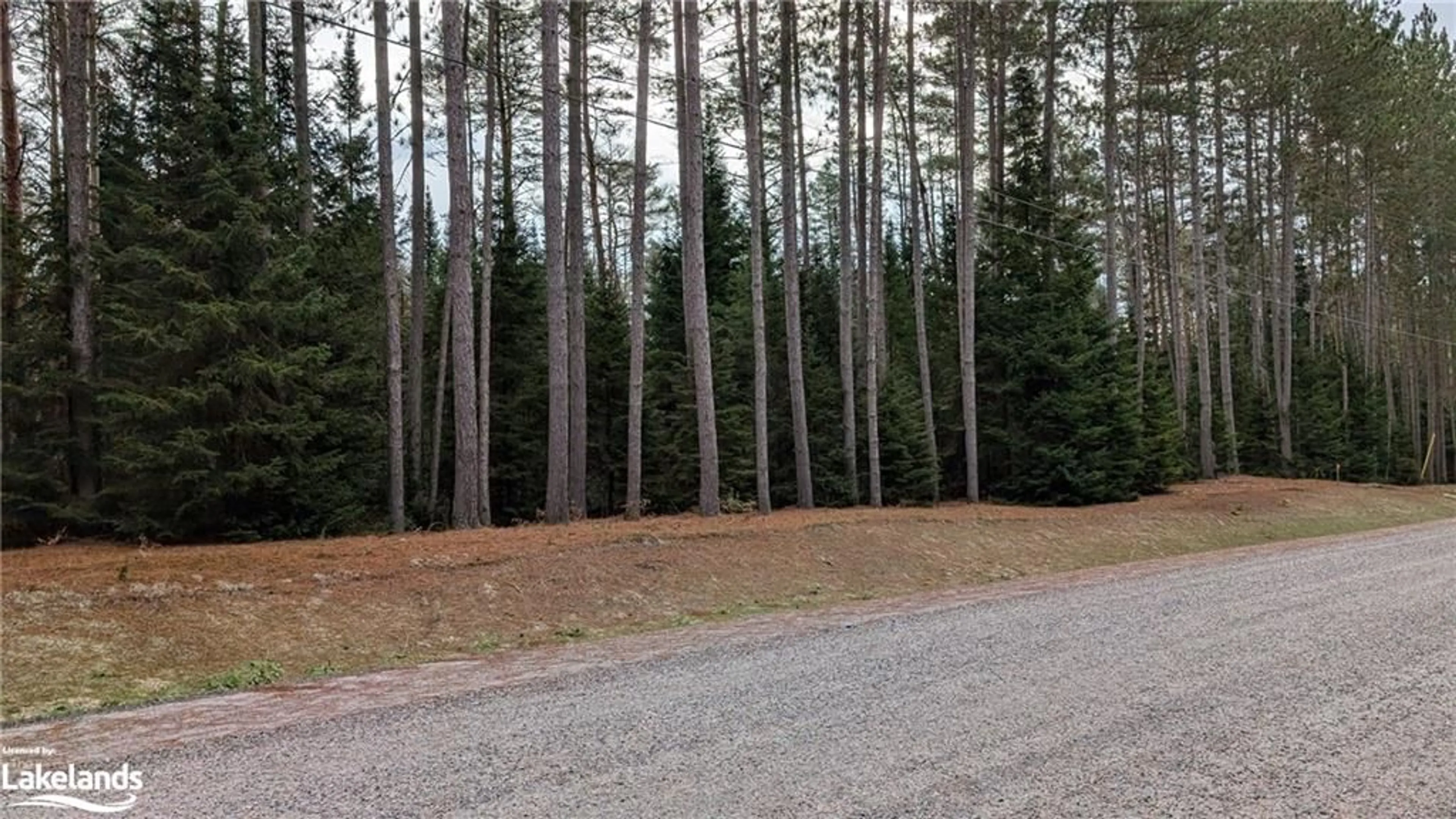 A pic from exterior of the house or condo, forest for 2 Red Pine Trail, Bracebridge Ontario P0B 1L0