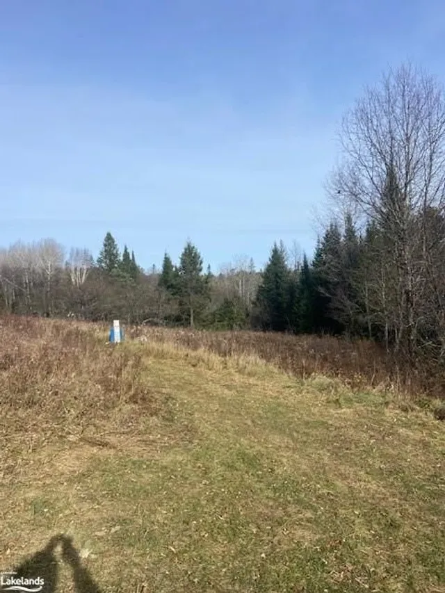 2828 Fire Route 72 Rte, North Kawartha Twp 3
