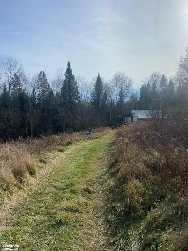 2828 Fire Route 72 Rte, North Kawartha Twp 4
