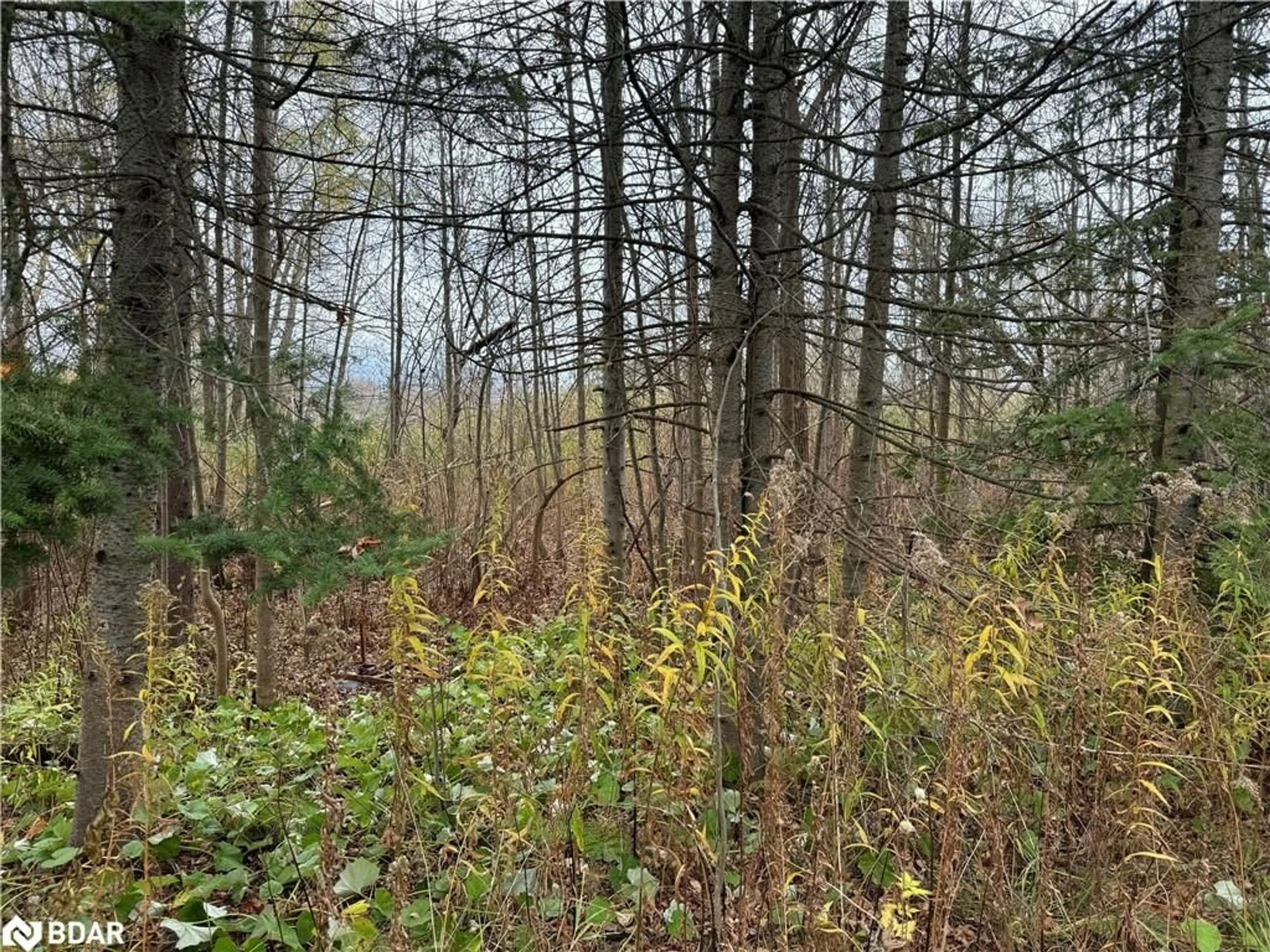 A pic of a room, unknown floor for 0 Taylorwoods Blvd, Innisfil Ontario L9S 2E9