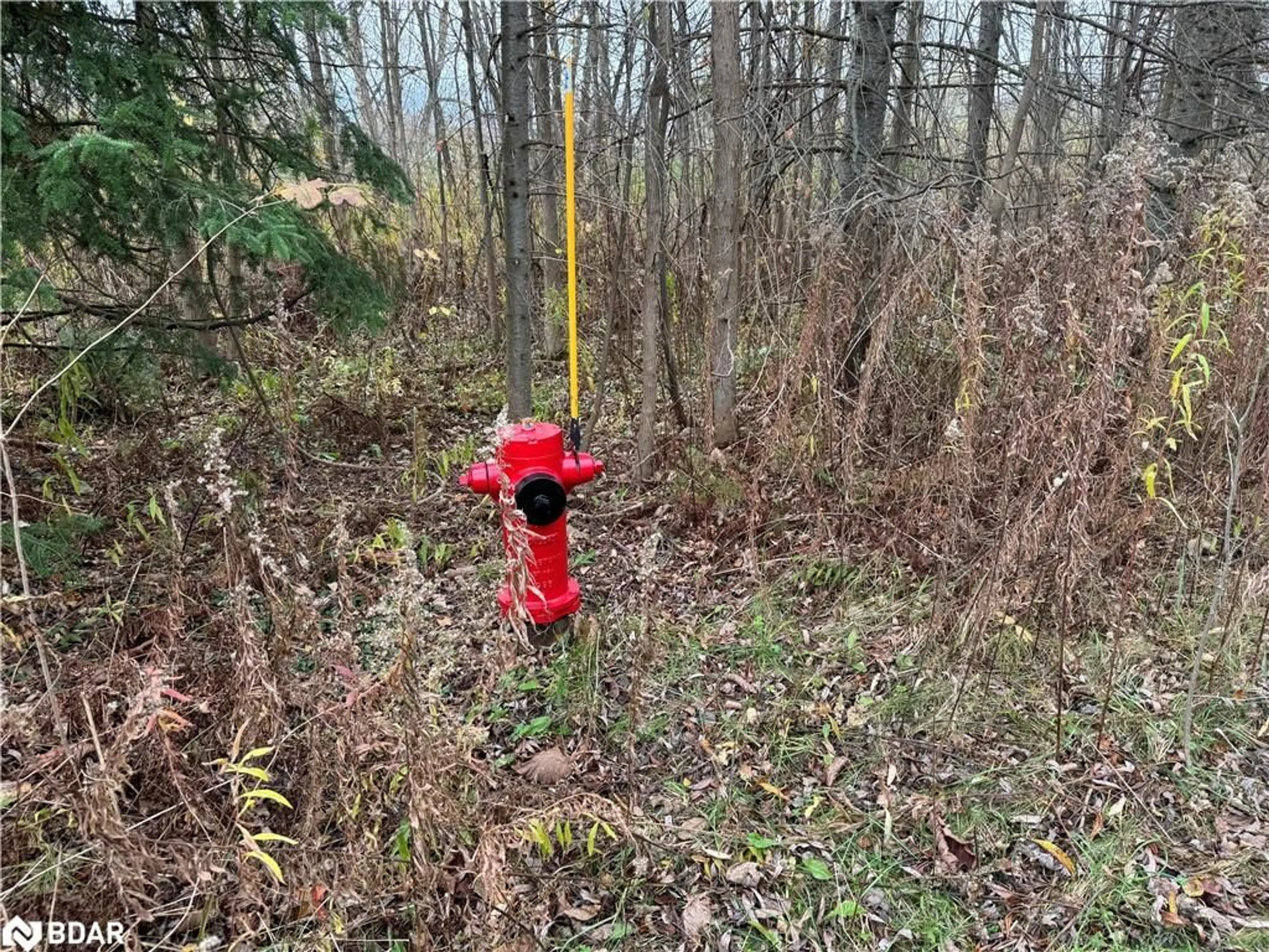 Shed for 0 Taylorwoods Blvd, Innisfil Ontario L9S 2E9