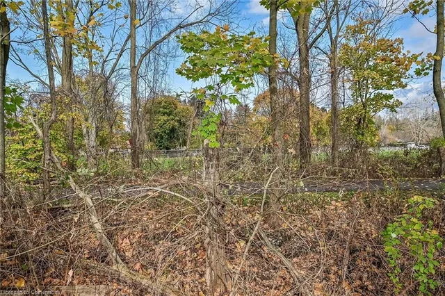 Additional property image - 54 Little John Rd