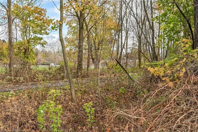 Additional property image - 54 Little John Rd