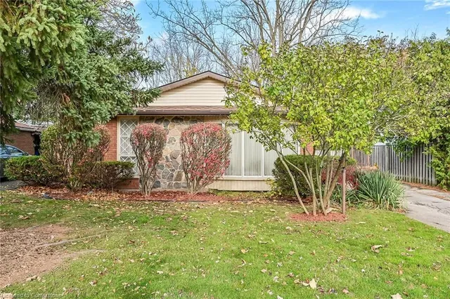 Additional property image - 54 Little John Rd