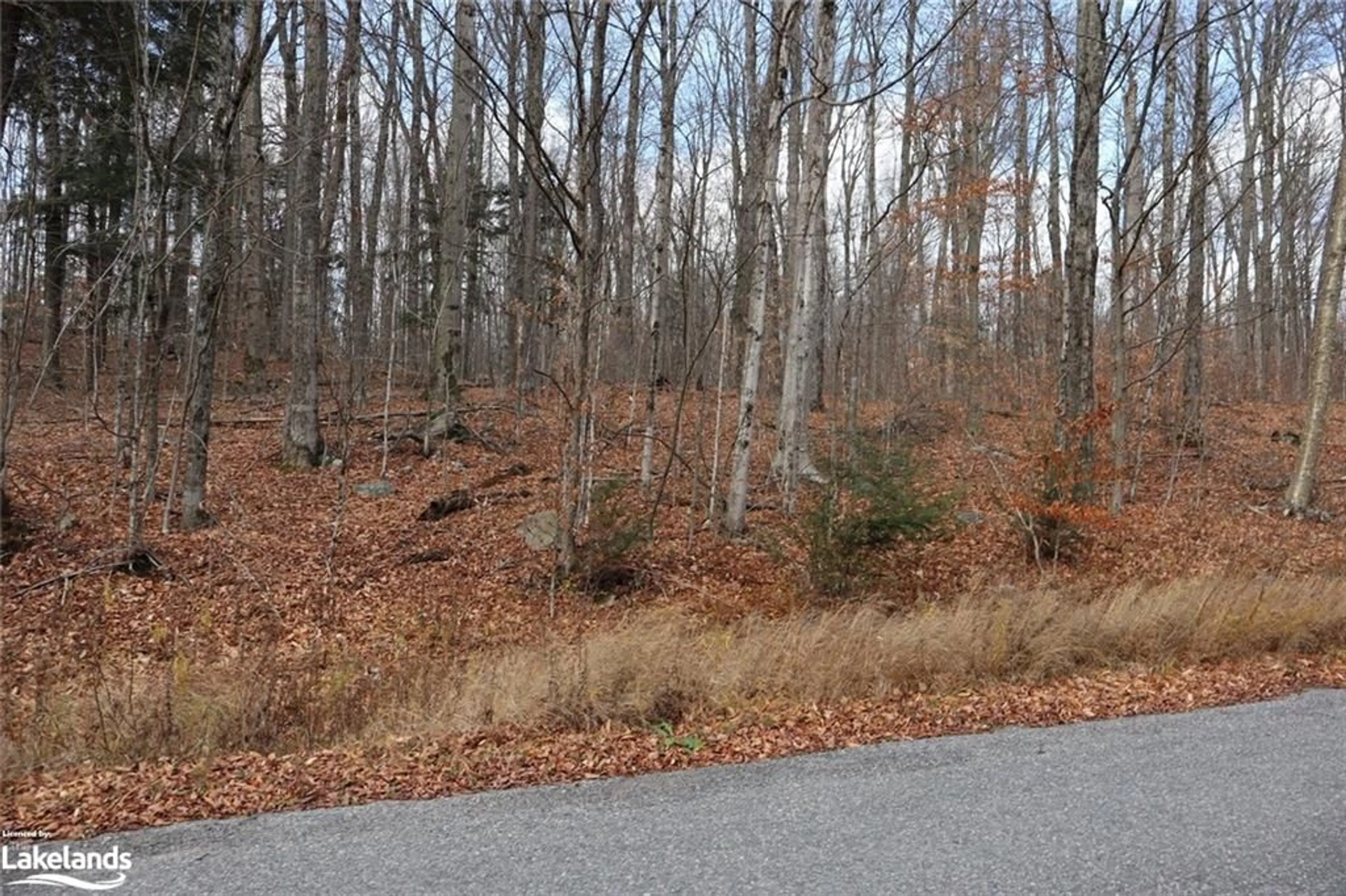 A pic from exterior of the house or condo, the street view for 0 Liswood Rd, Haliburton Ontario K0M 1S0