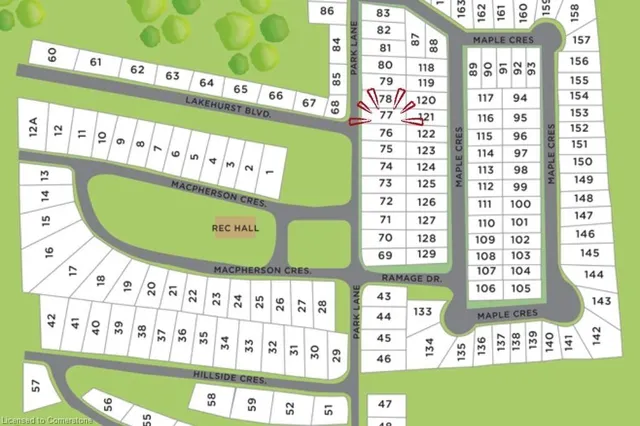 Primary image of 77 Park Lane