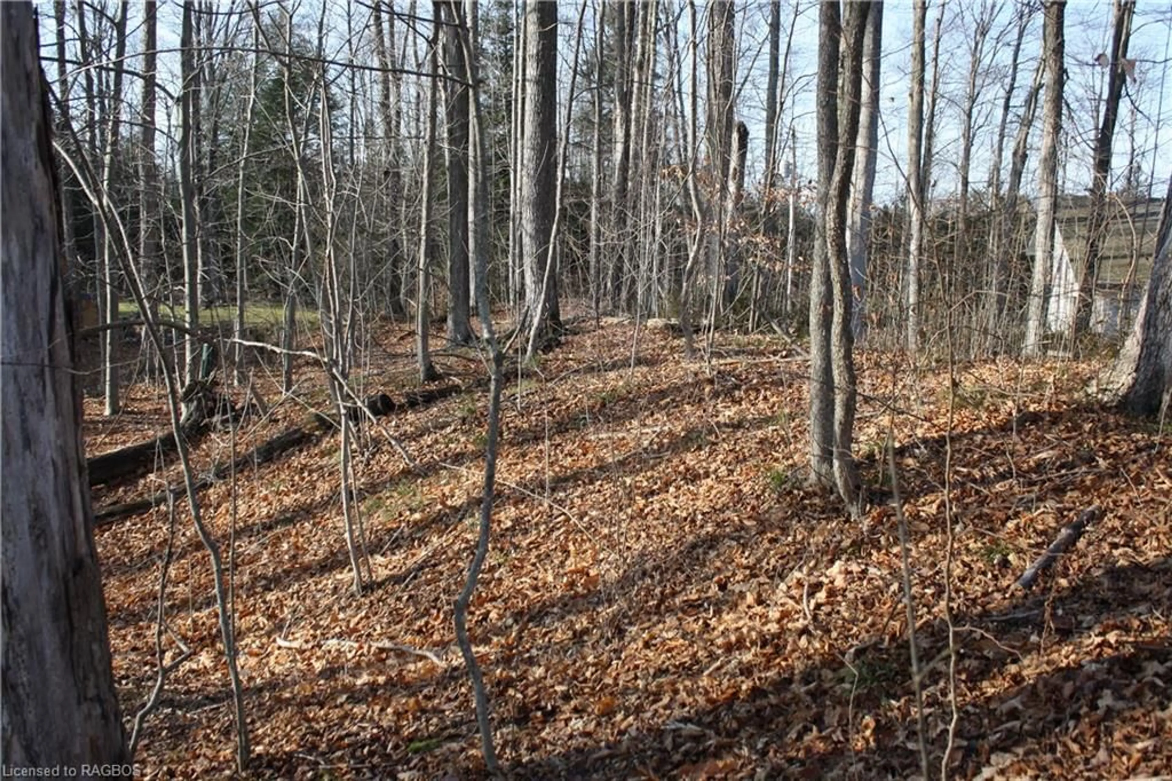 A pic from exterior of the house or condo, forest for PART LOT 1 Dorena Cres, Sauble Beach Ontario N0H 2G0