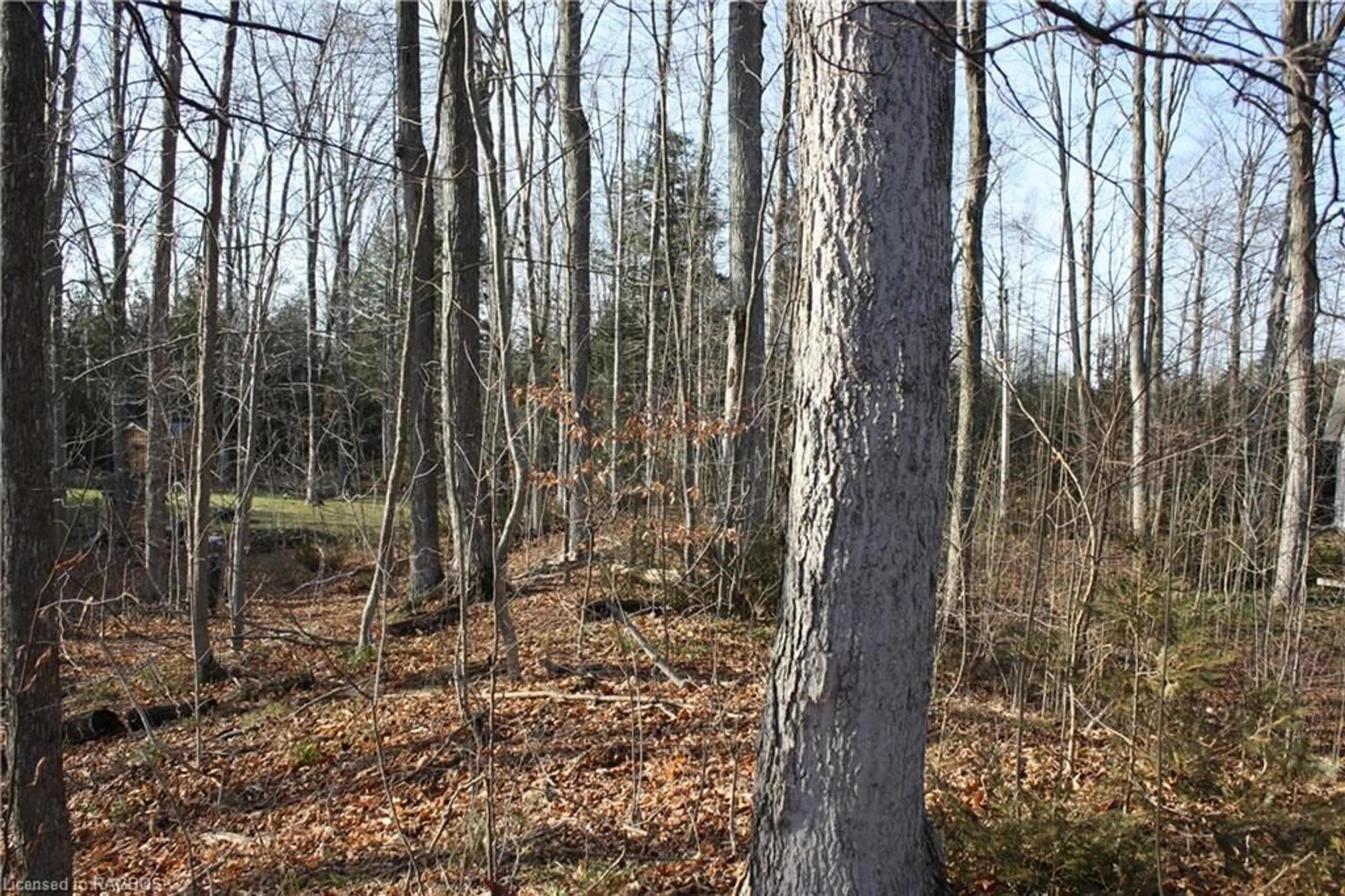 A pic of a room, unknown floor for PART LOT 1 Dorena Cres, Sauble Beach Ontario N0H 2G0