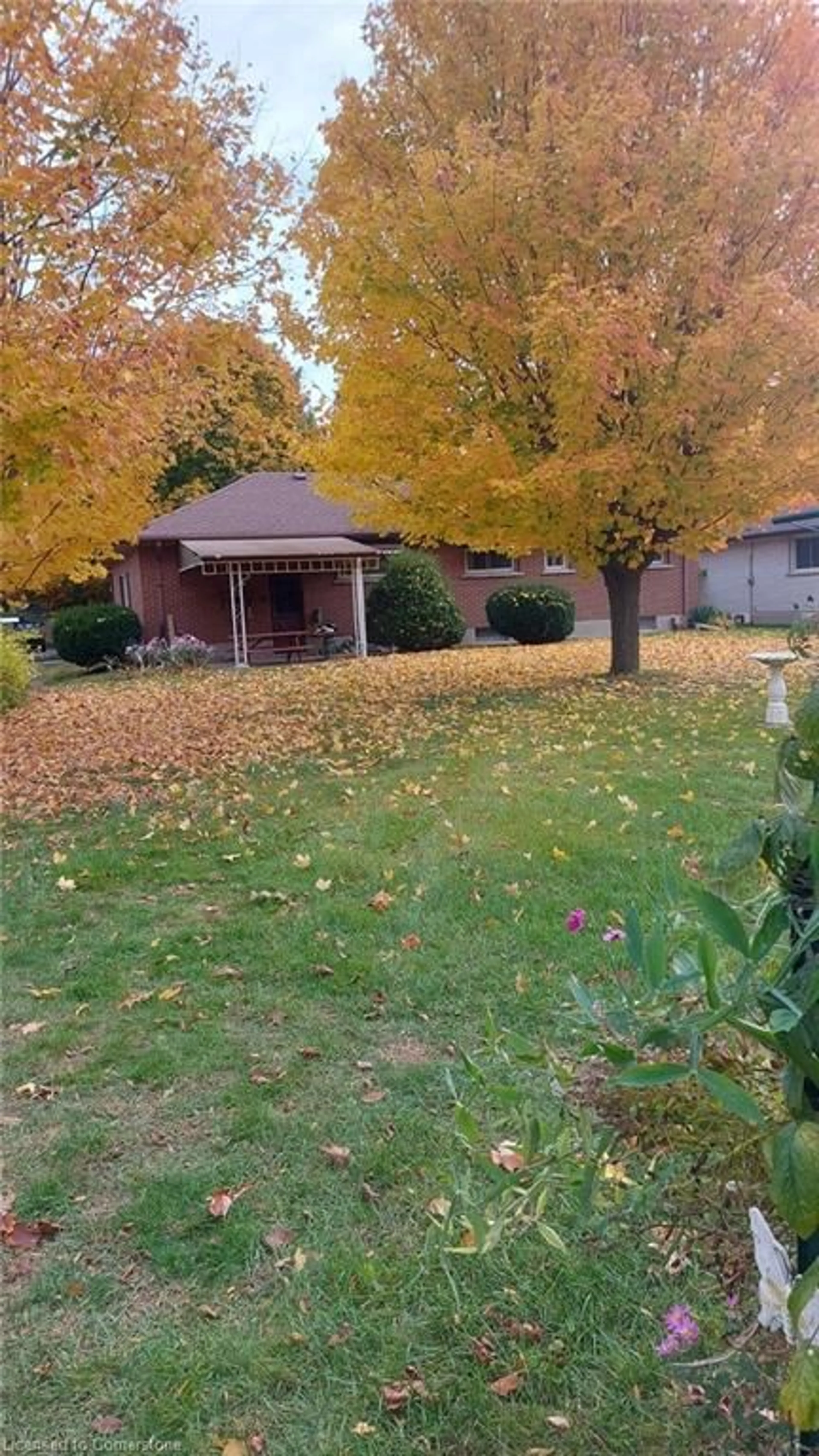 A pic from exterior of the house or condo, the fenced backyard for 54 Lee Ave, Simcoe Ontario N3Y 3K5