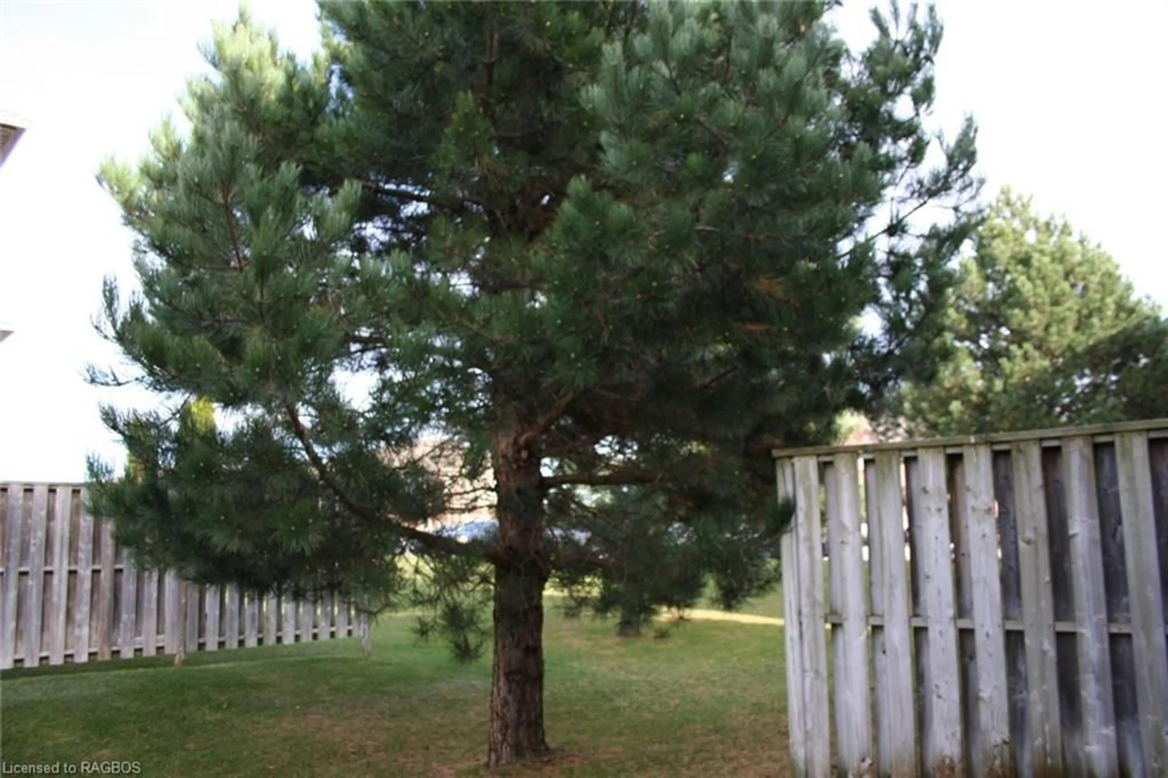 Frontside or backside of a home, the fenced backyard for 409 Joseph St #95, Port Elgin Ontario N0H 2C2