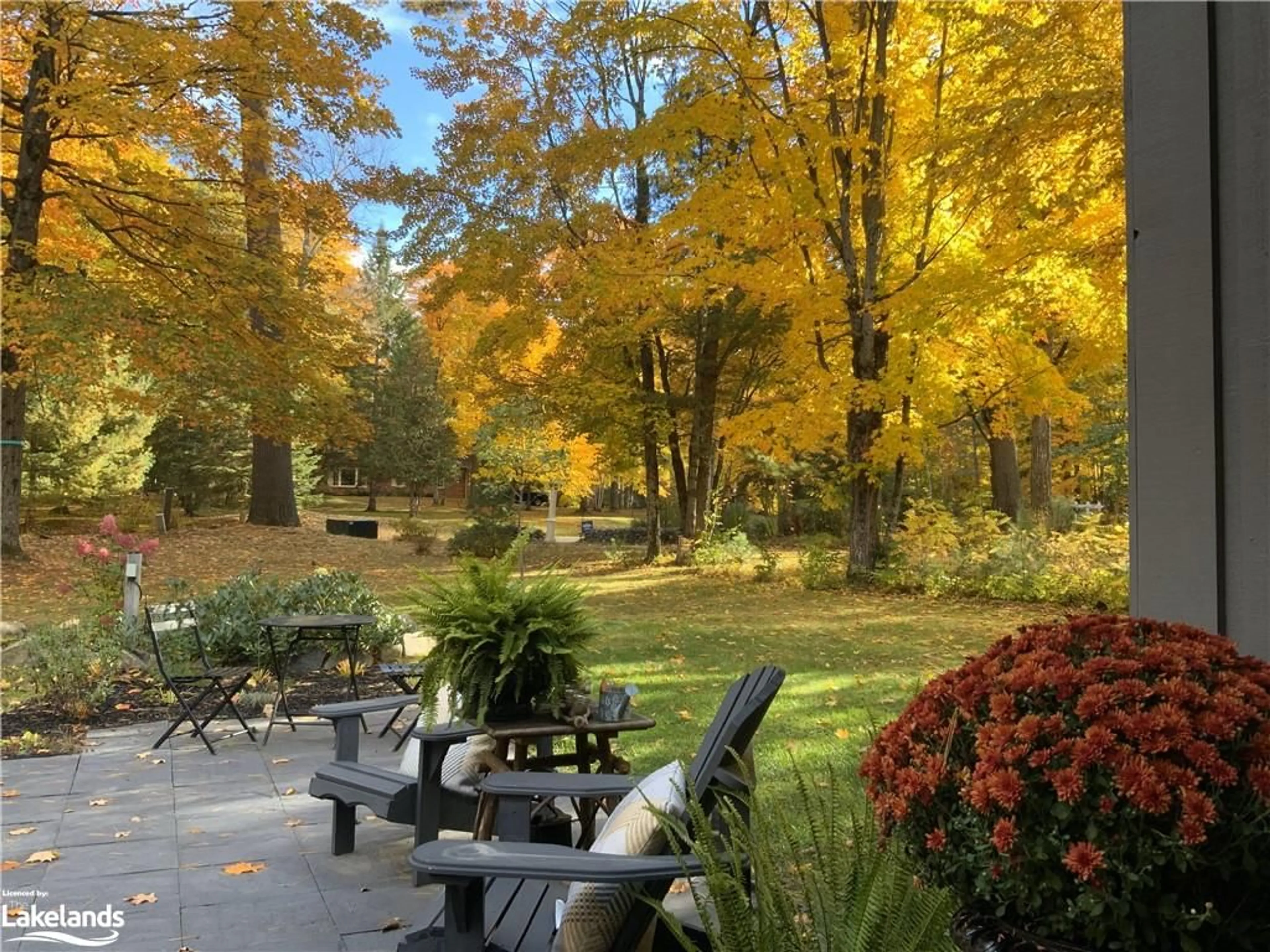 Patio, the fenced backyard for 28 Tall Pine Rd, Port Sydney Ontario P0B 1L0