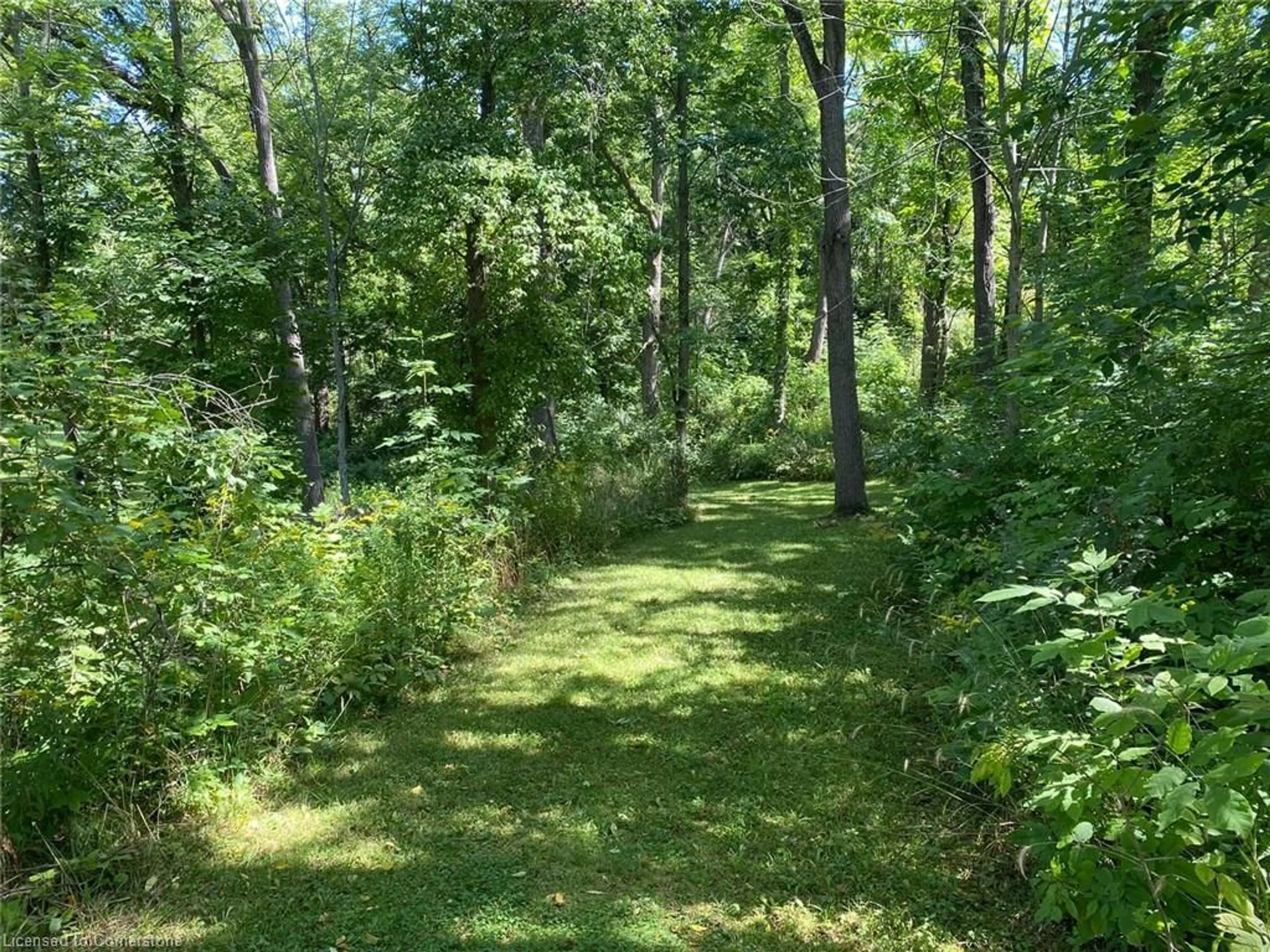 Patio, the fenced backyard for PT LT 3 Effingham St, Fonthill Ontario L2R 6P7