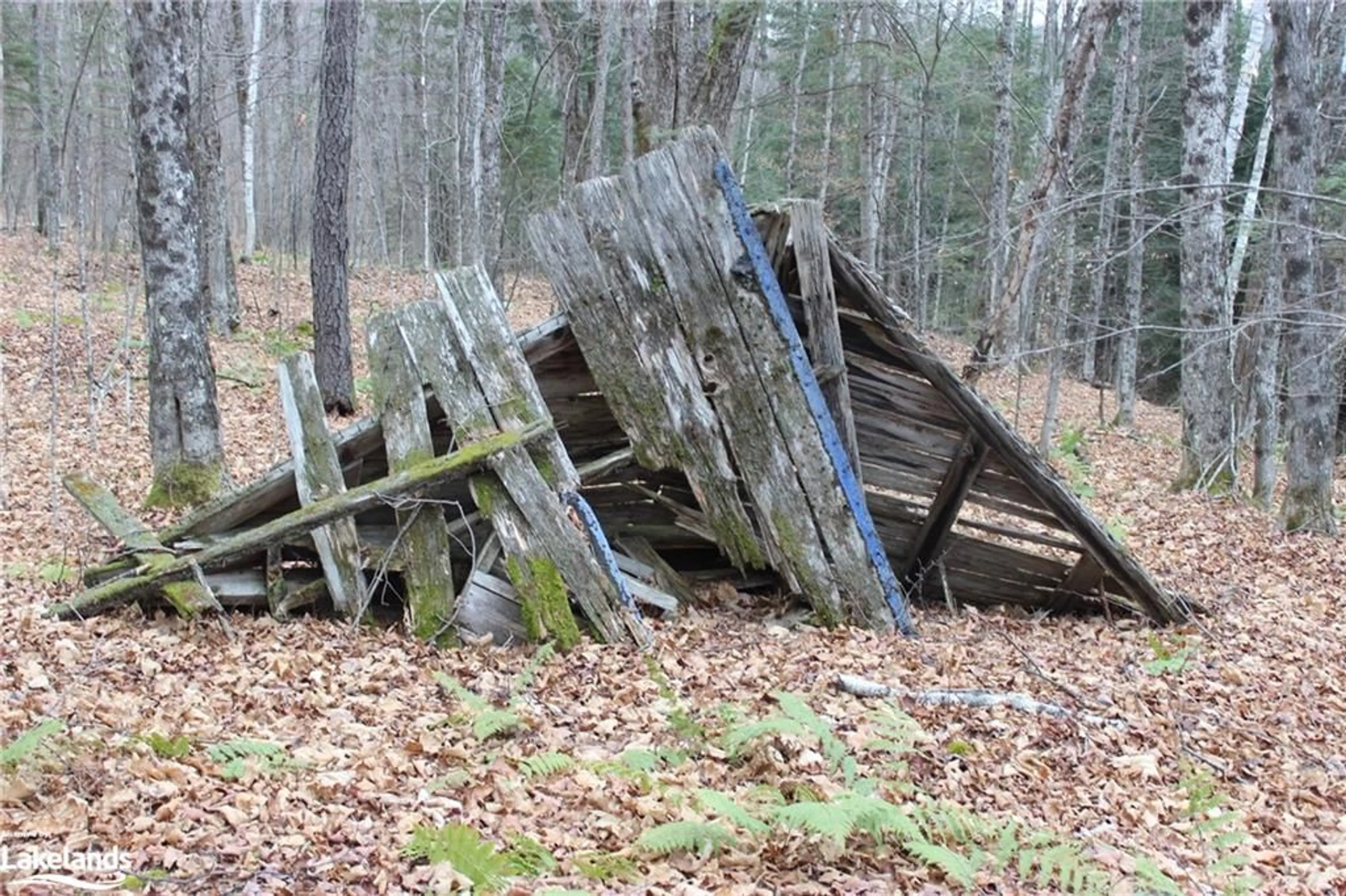 Shed for 0 Old Folks Rd, Wilberforce Ontario K0L 2Y0