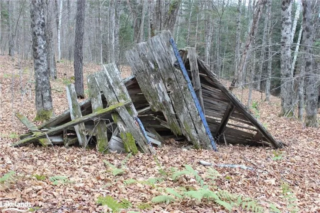 0 Old Folks Rd, Wilberforce 5