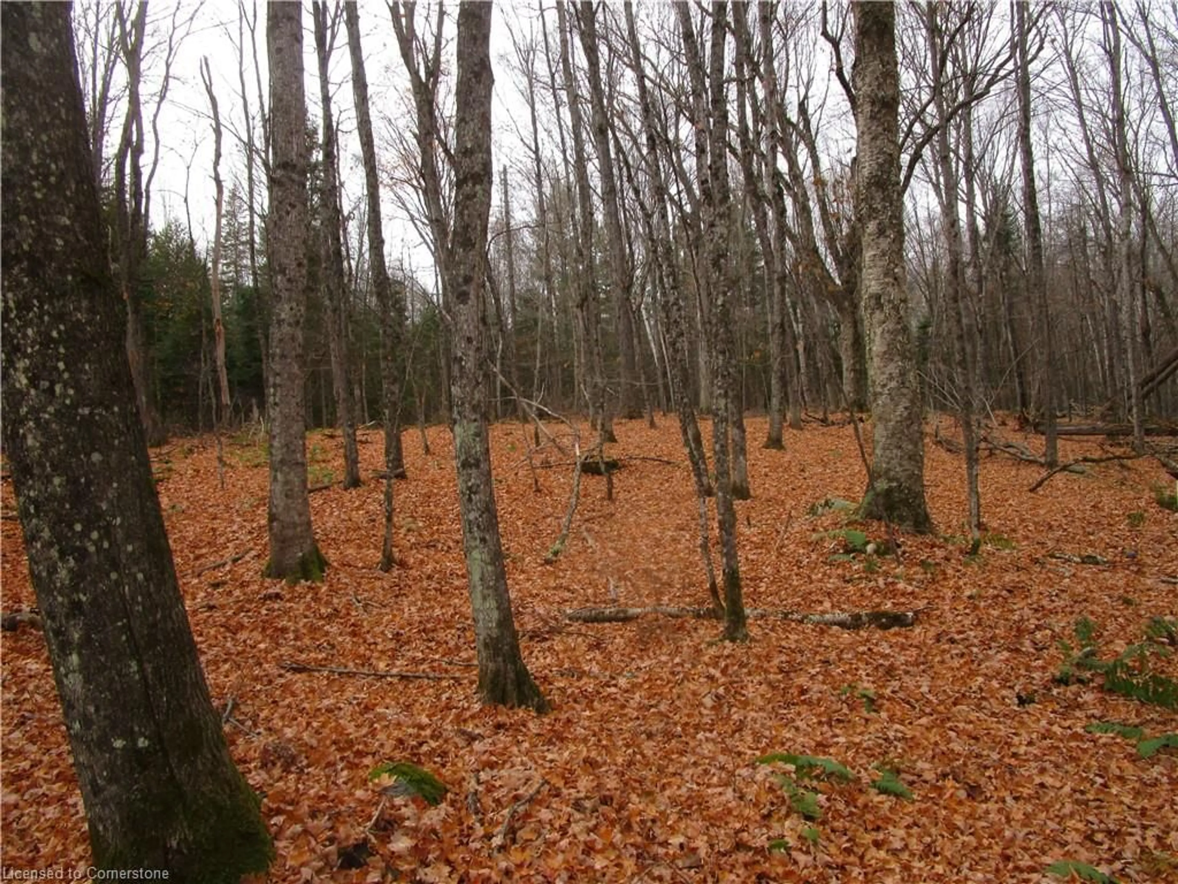 A pic of a room, unknown floor for 0 O'grady Settlement Rd, Killaloe Ontario K0J 2A0