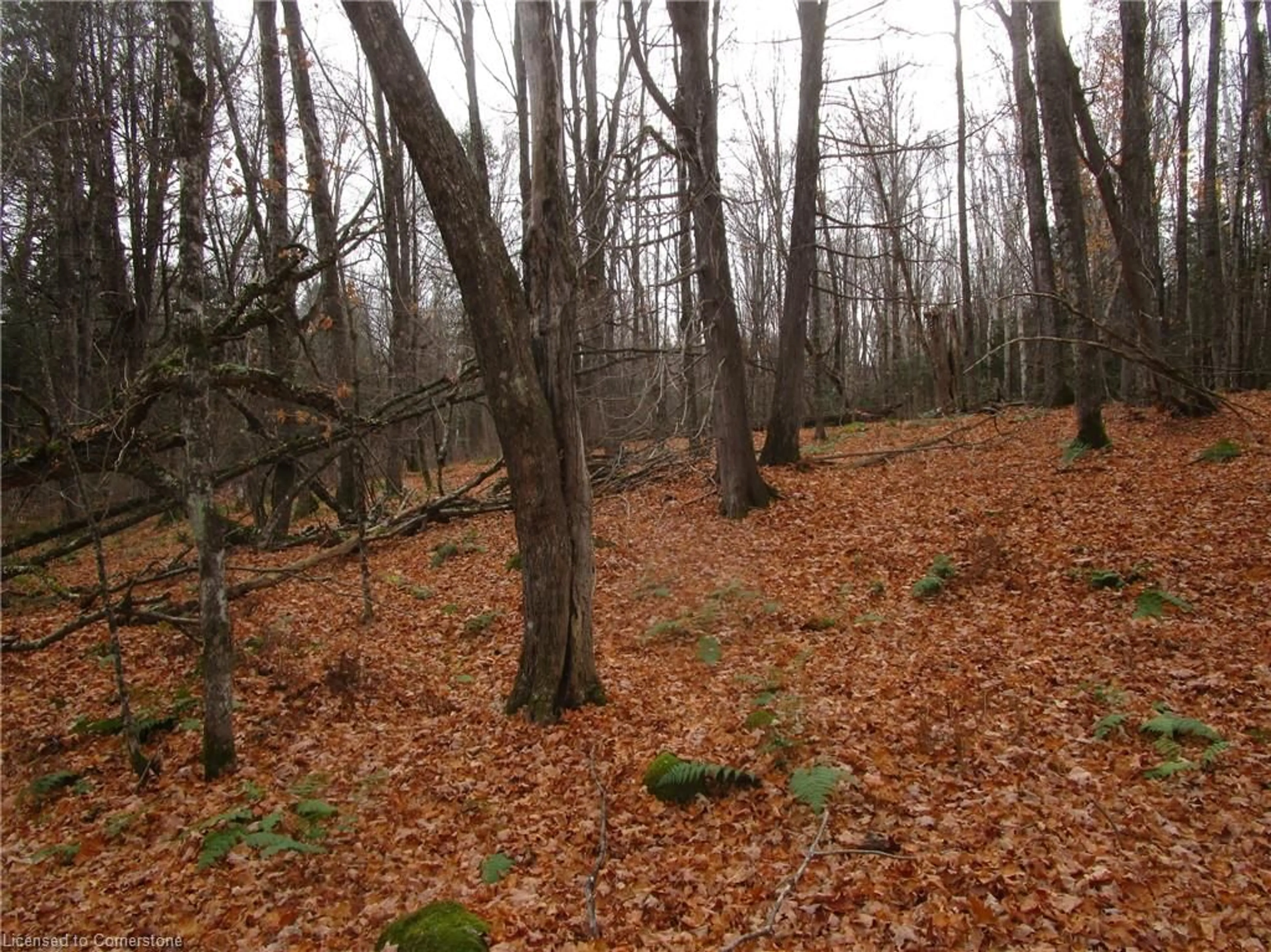 A pic of a room, unknown floor for 0 O'grady Settlement Rd, Killaloe Ontario K0J 2A0