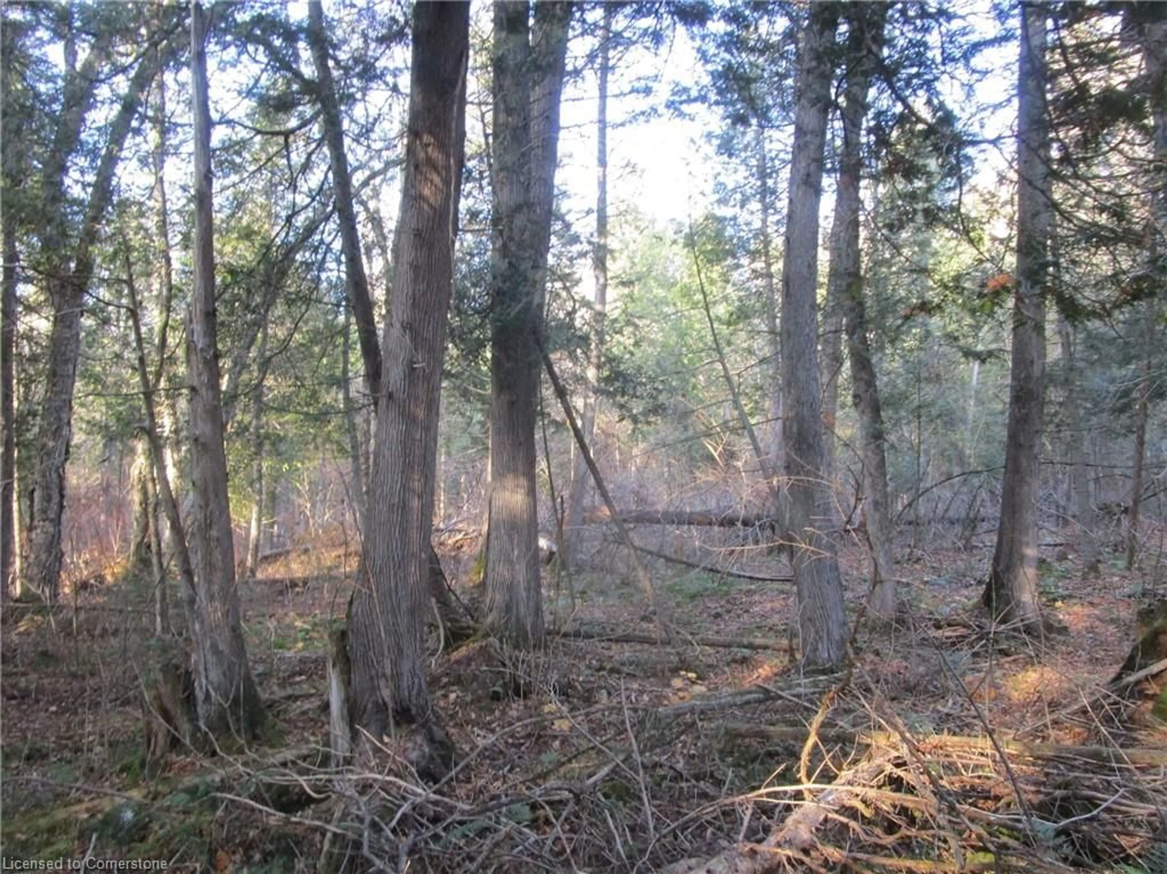 A pic of a room, unknown floor for 0 O'grady Settlement Rd, Killaloe Ontario K0J 2A0