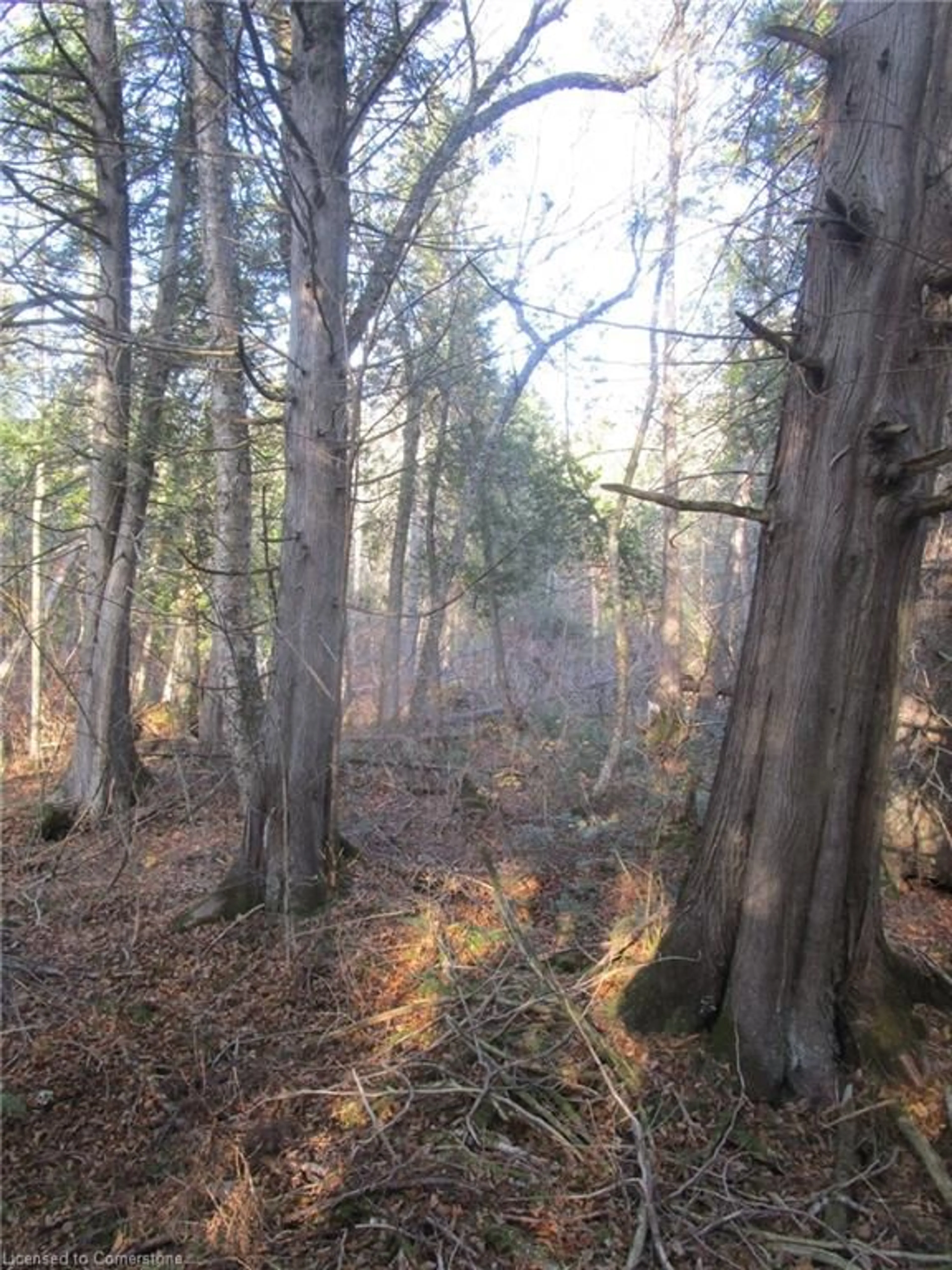 A pic of a room, unknown floor for 0 O'grady Settlement Rd, Killaloe Ontario K0J 2A0