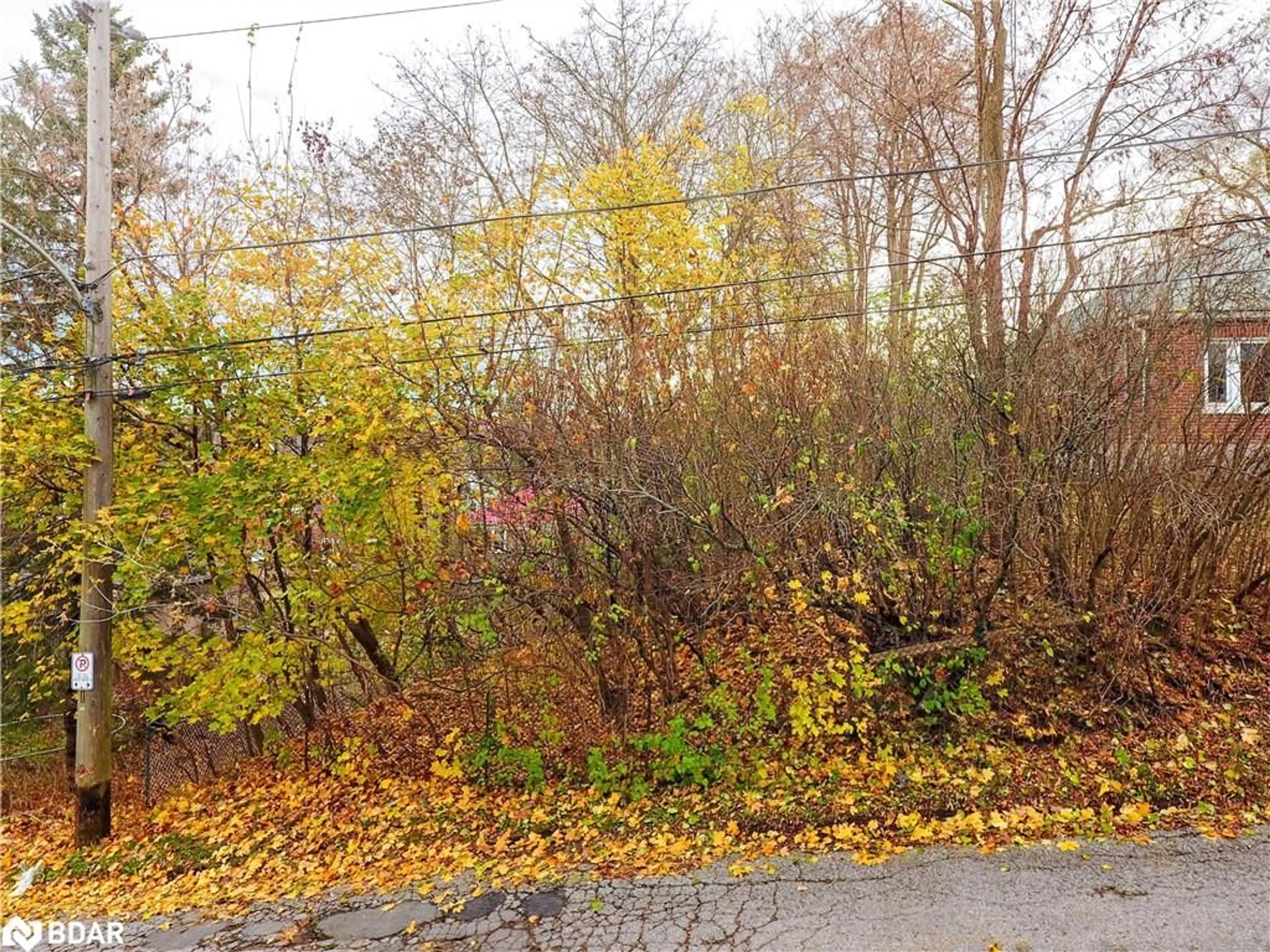 A pic from exterior of the house or condo, the street view for 557 Murray St, Peterborough Ontario K9H 2V2