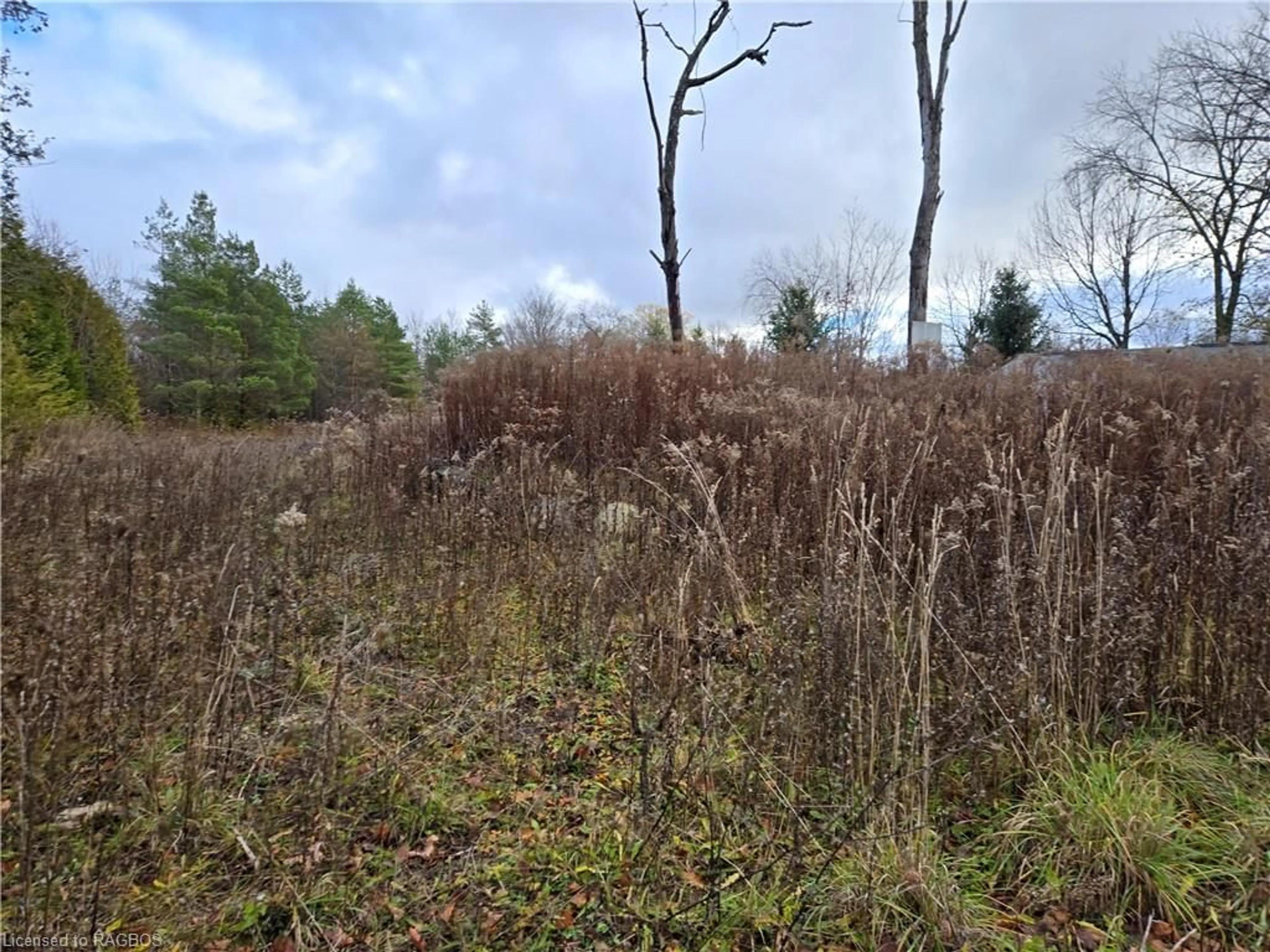 A pic of a room, not visible floor for PT LT 8 E/S Salter St, Williamsford Ontario N0H 2V0