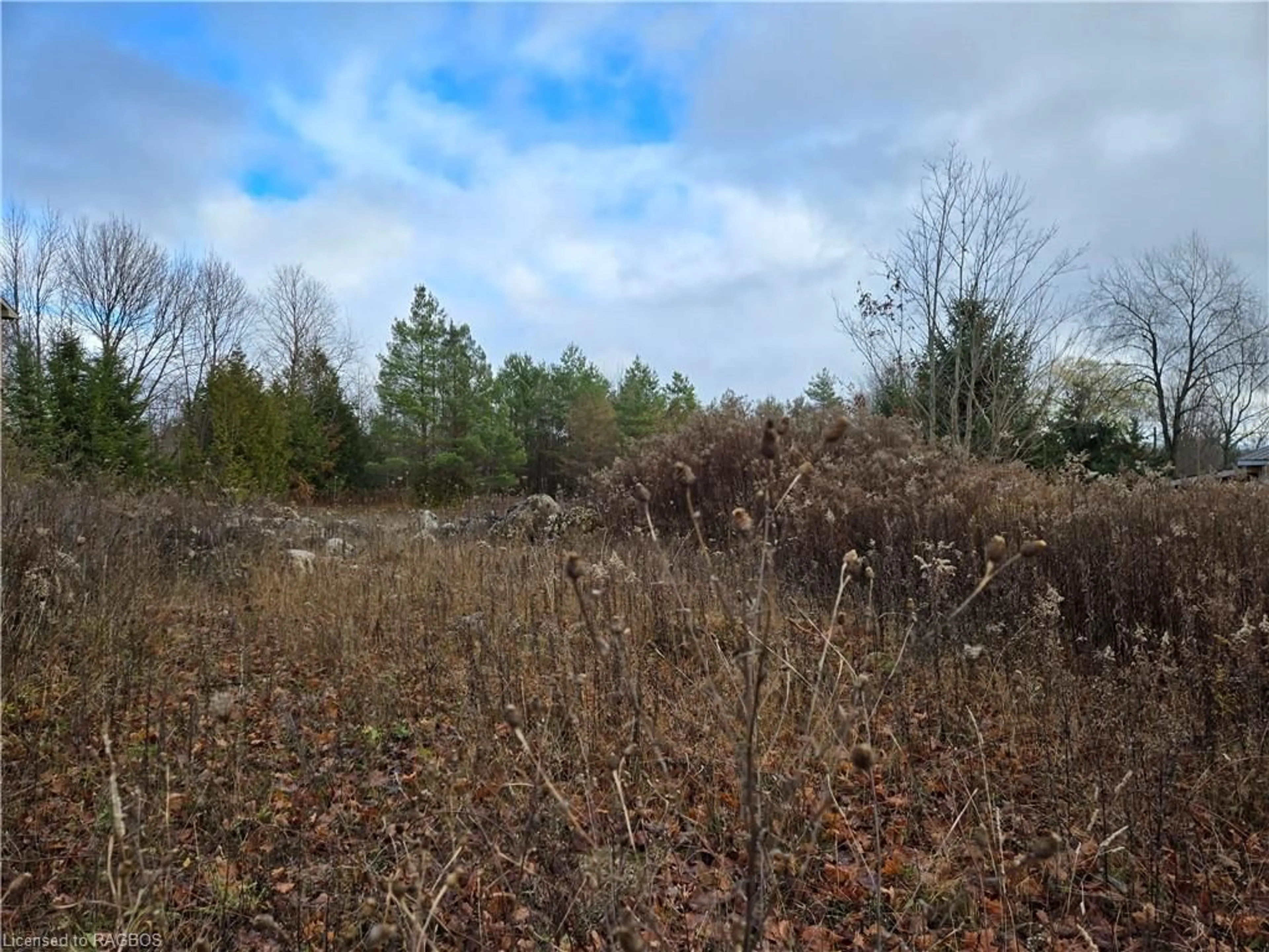 A pic of a room, not visible floor for PT LT 8 E/S Salter St, Williamsford Ontario N0H 2V0